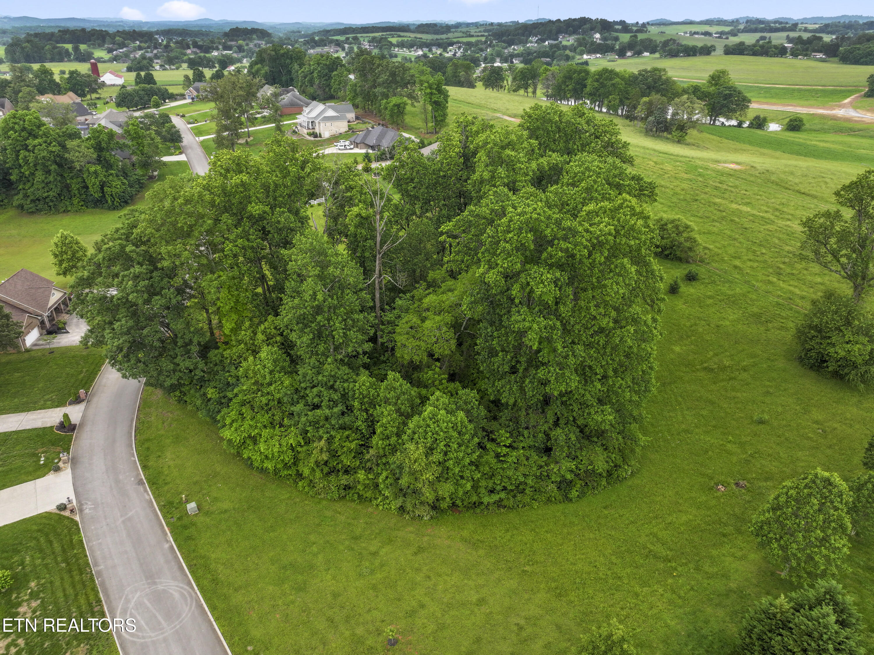 1157 Houston Springs Road Greenback, TN 37742 - Photo 15 of 16 photos_high_resolution_DJI_2025051620404