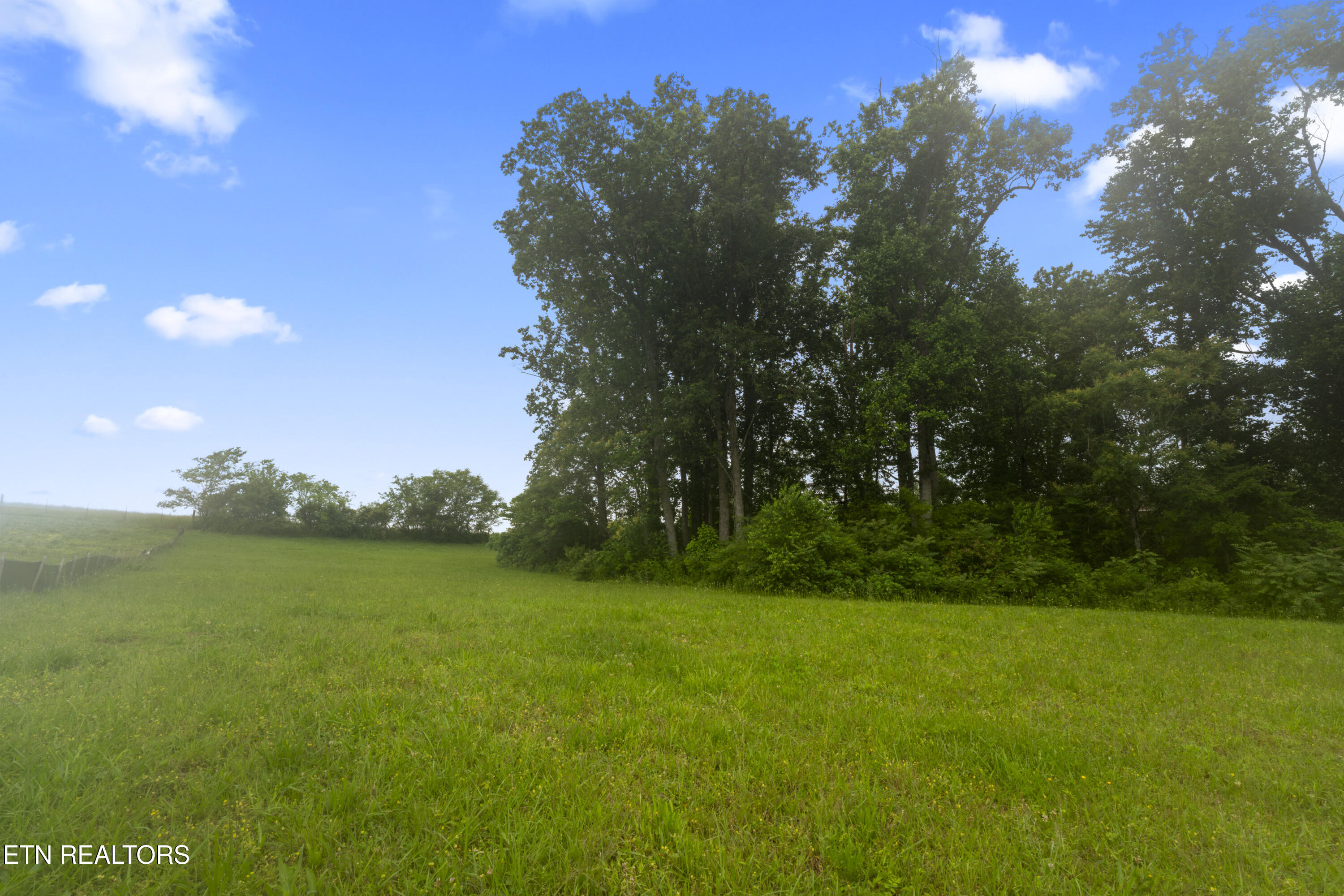 1157 Houston Springs Road Greenback, TN 37742 - Photo 2 of 16 photos_high_resolution_ABC08129