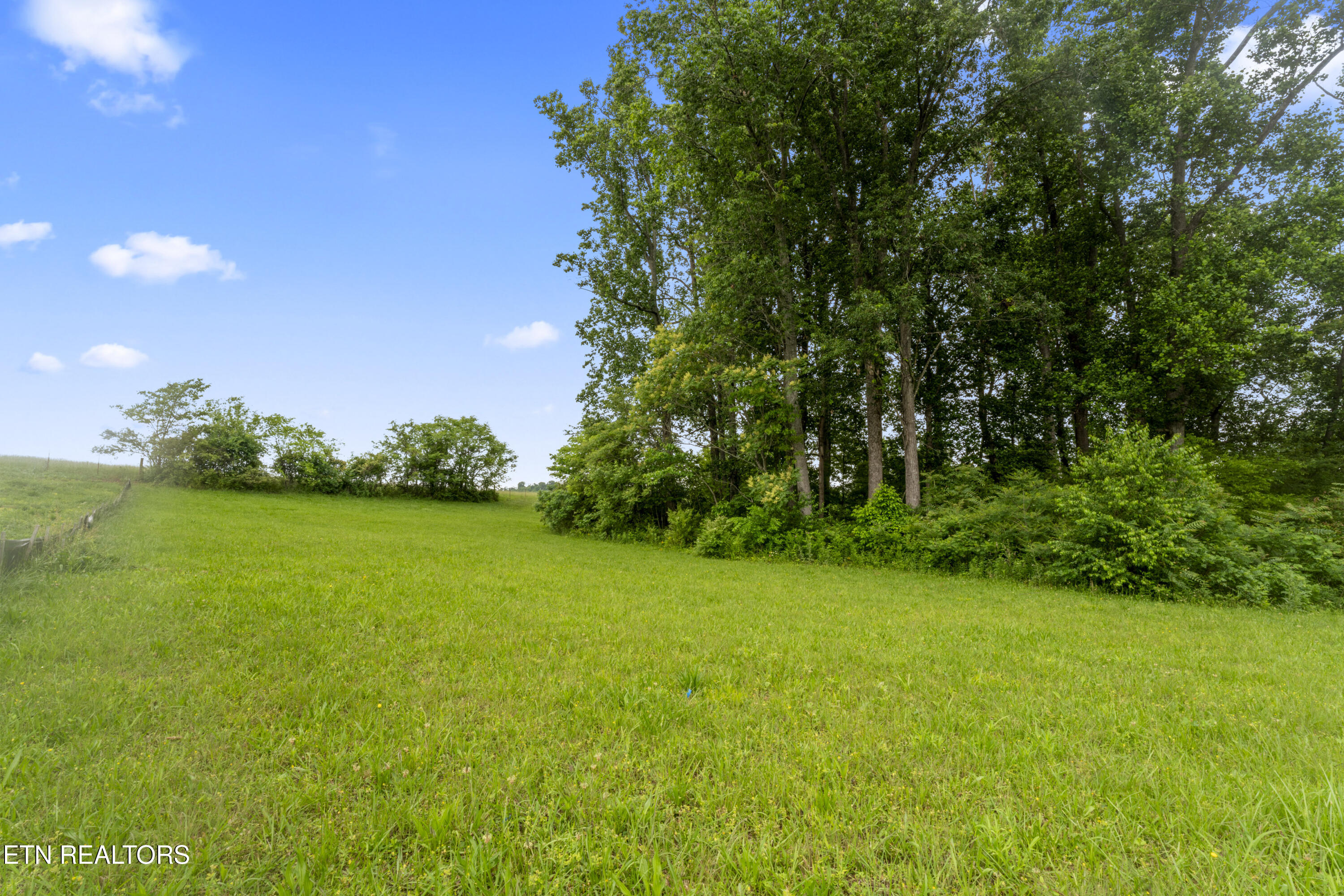 1157 Houston Springs Road Greenback, TN 37742 - Photo 3 of 16 photos_high_resolution_ABC08136