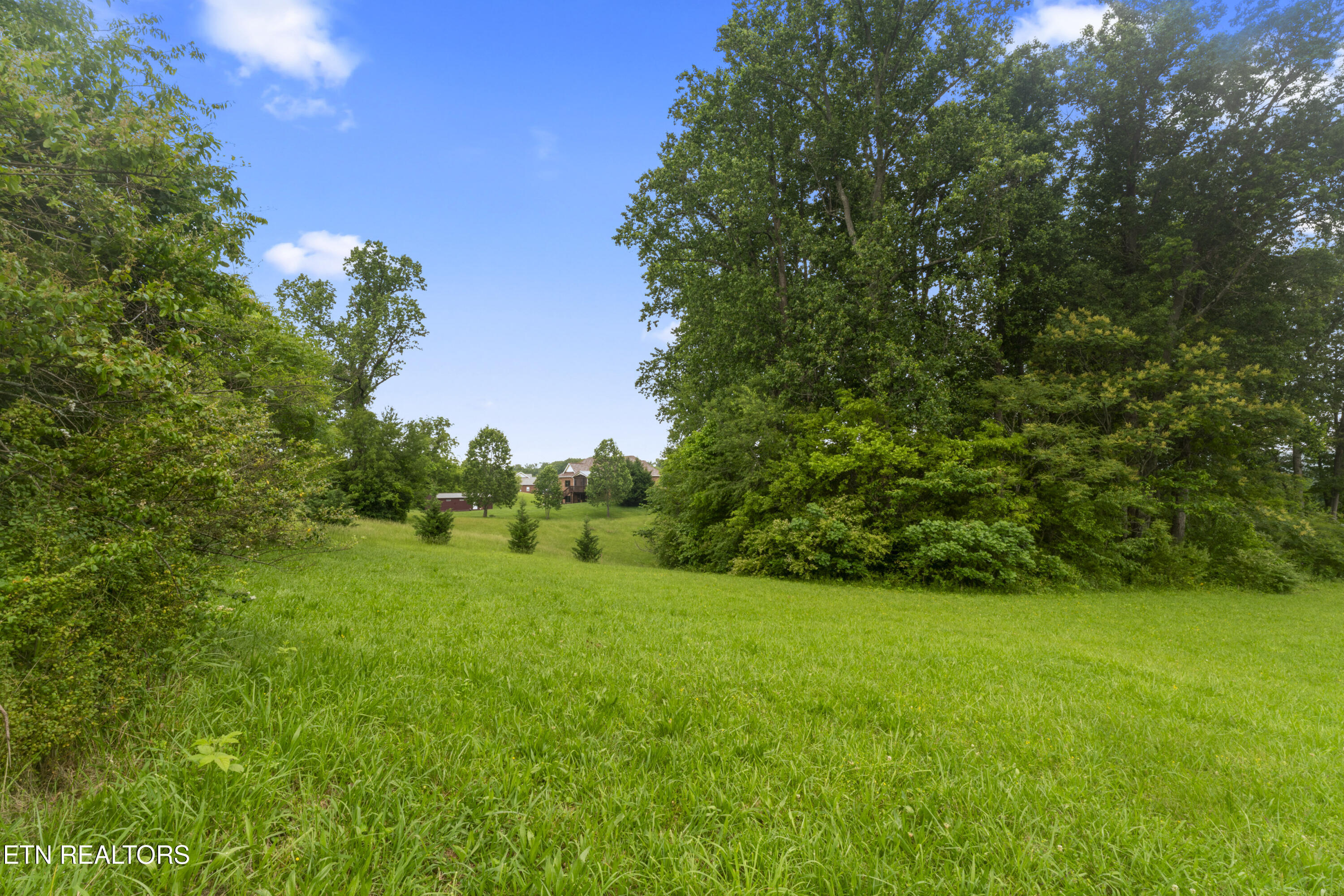 1157 Houston Springs Road Greenback, TN 37742 - Photo 4 of 16 photos_high_resolution_ABC08141