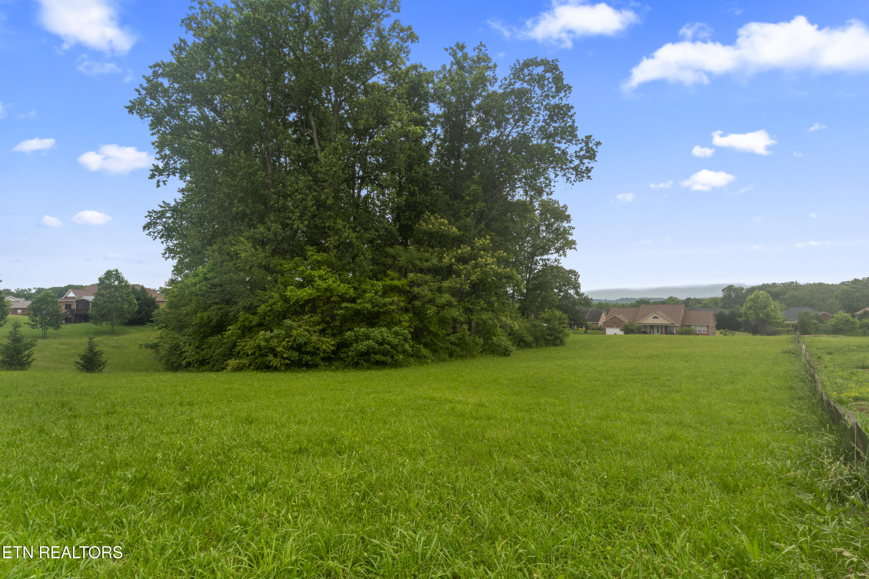 1157 Houston Springs Road Greenback, TN 37742 - Photo 5 of 16 photos_high_resolution_ABC08144