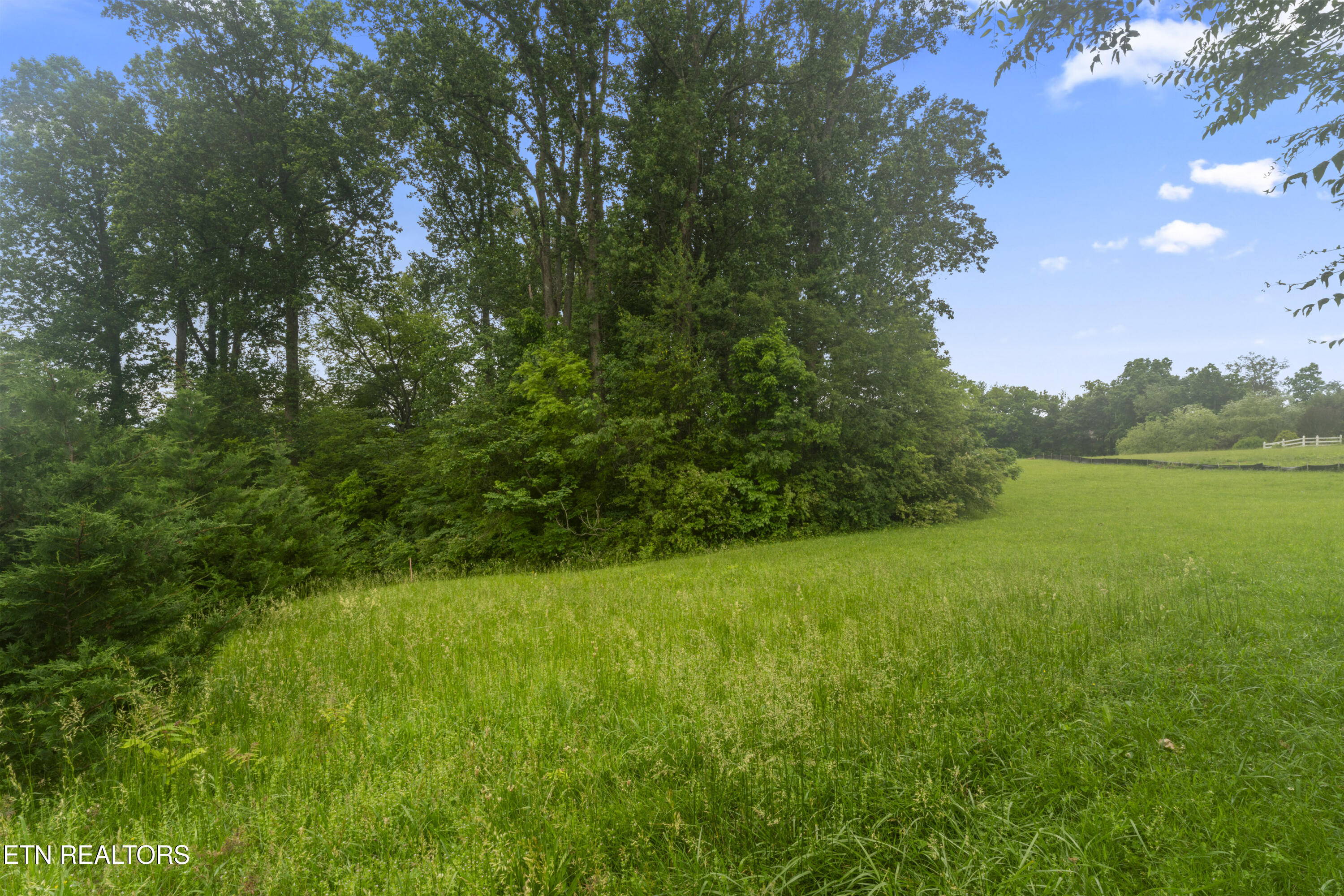 1157 Houston Springs Road Greenback, TN 37742 - Photo 6 of 16 photos_high_resolution_ABC08149