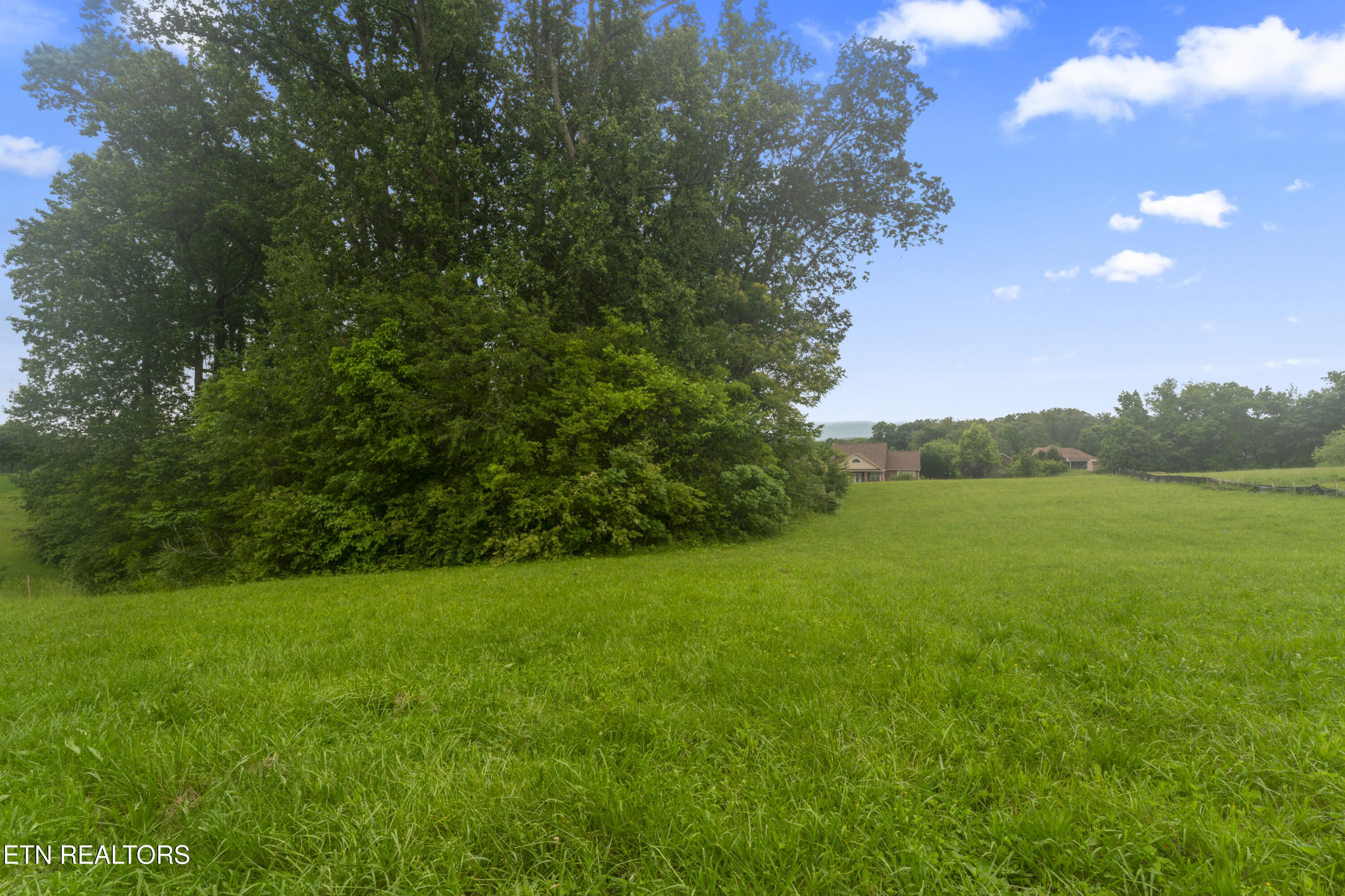 1157 Houston Springs Road Greenback, TN 37742 - Photo 7 of 16 photos_high_resolution_ABC08154