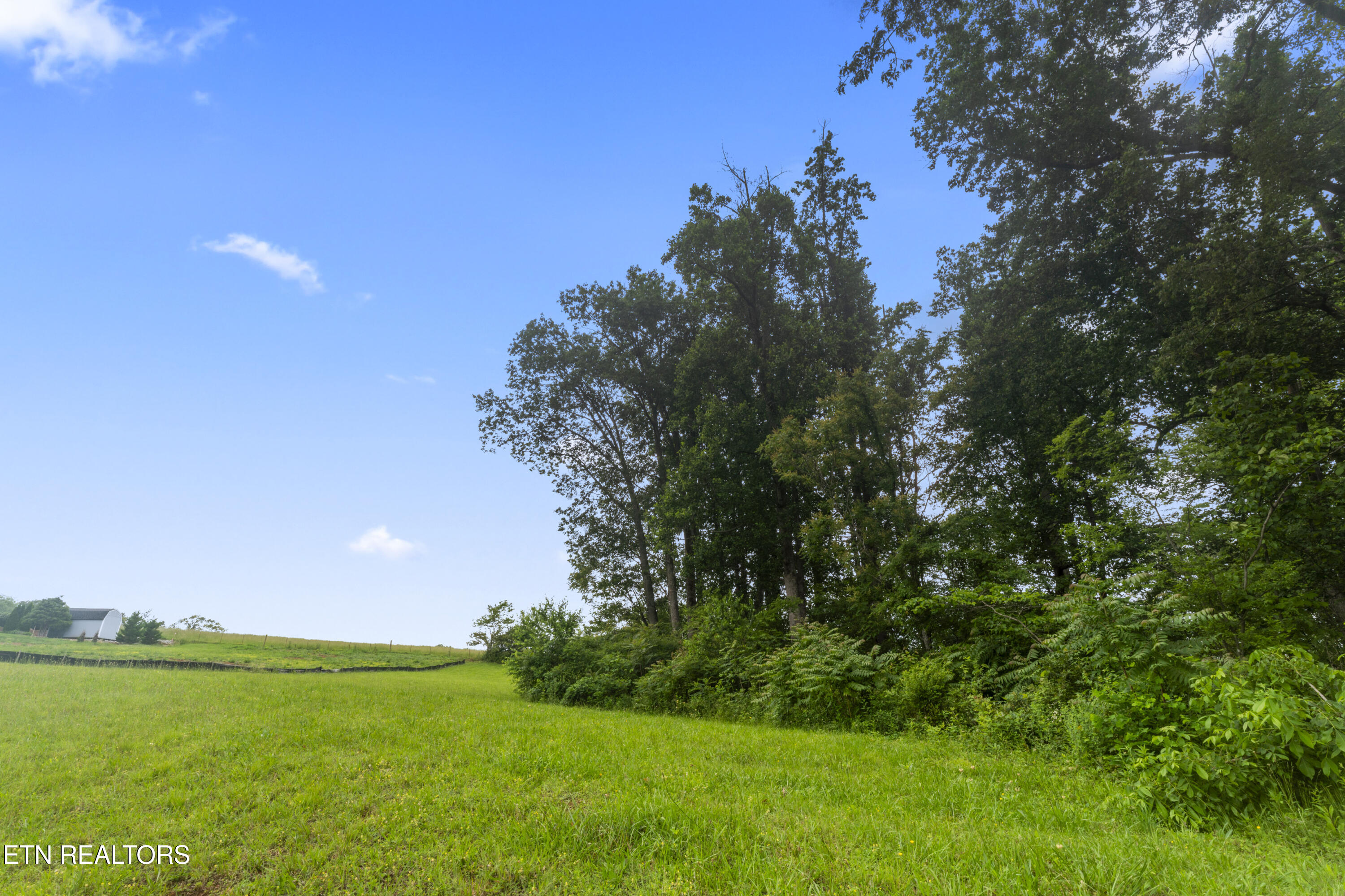 1157 Houston Springs Road Greenback, TN 37742 - Photo 8 of 16 photos_high_resolution_ABC08161