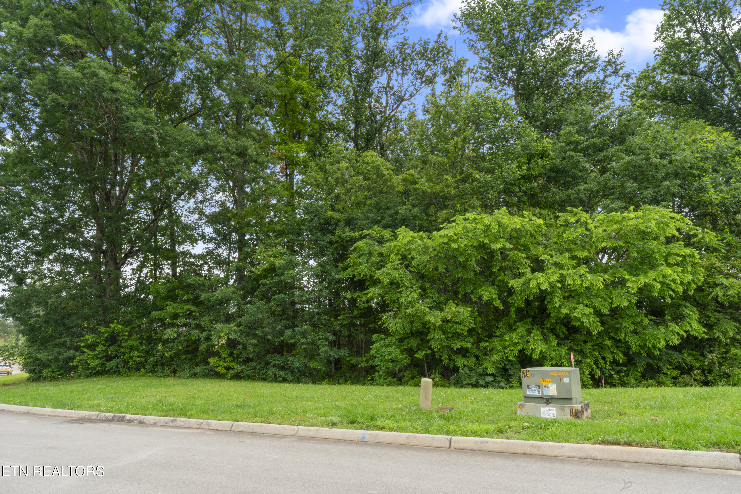 1157 Houston Springs Road Greenback, TN 37742 - Photo 9 of 16 photos_high_resolution_ABC08164