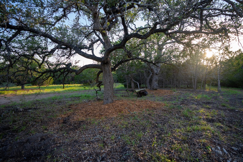 1347 Gold Road Wimberley, TX 78676 - Photo 16 of 39 Gallery Image 16