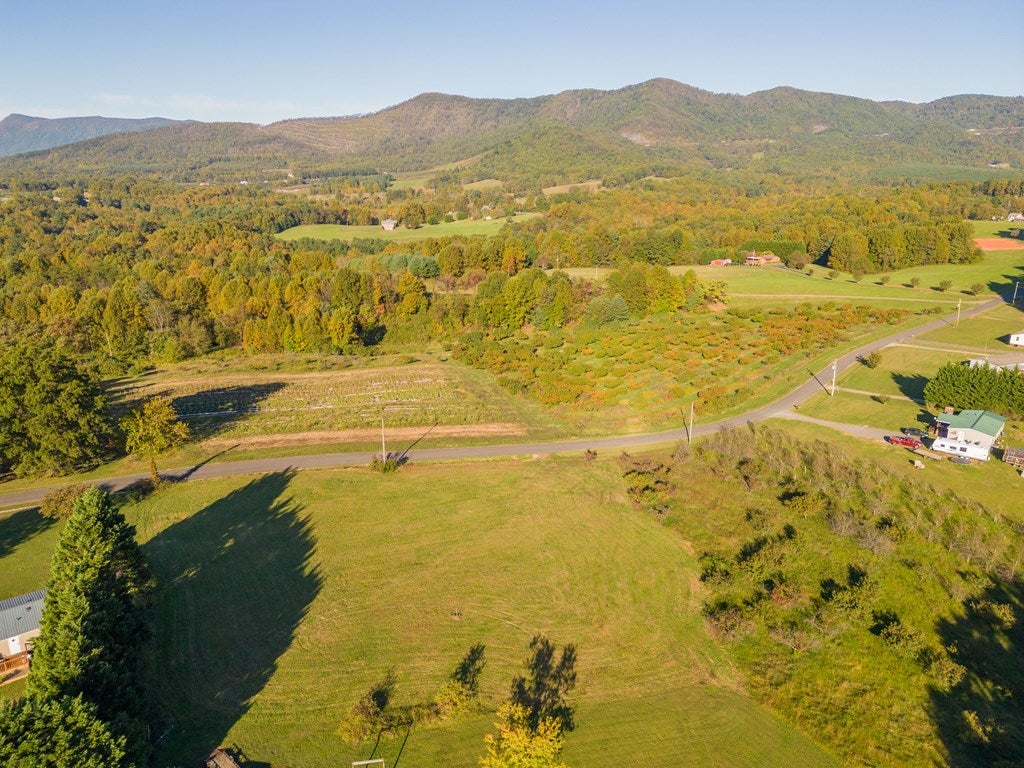 Tbd Apple Ridge Road, Unit 7 Cana, VA 24317 - Photo 3 of 27 Gallery Image 3