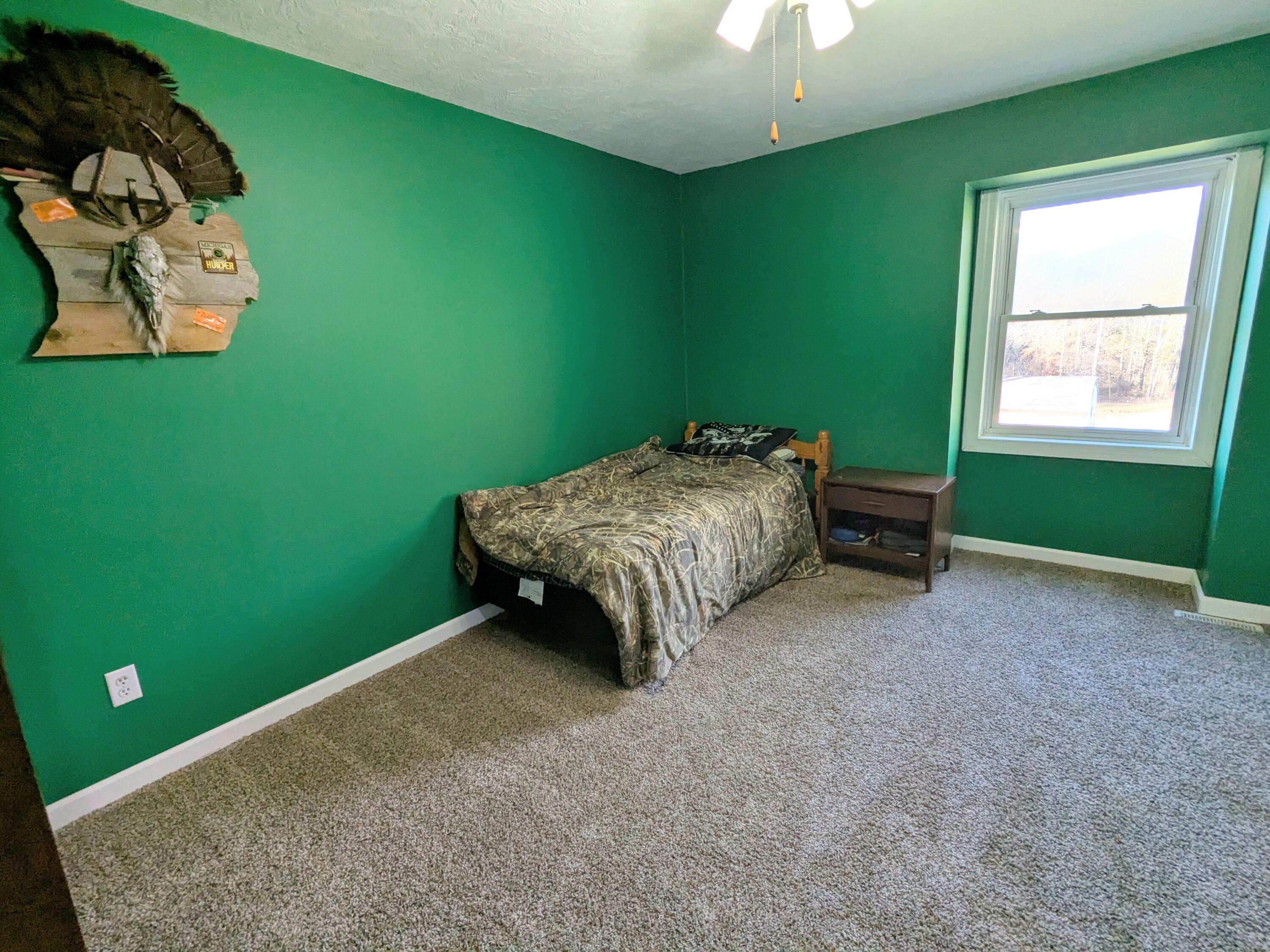 9913 Jones Road Bellevue, MI 49021 - Photo 46 of 94 PXL_20251030_203002269.MP~2