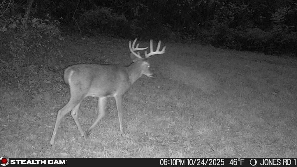 9913 Jones Road Bellevue, MI 49021 - Photo 75 of 94 1000025894