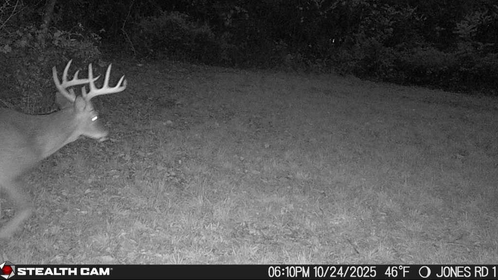 9913 Jones Road Bellevue, MI 49021 - Photo 76 of 94 1000025895
