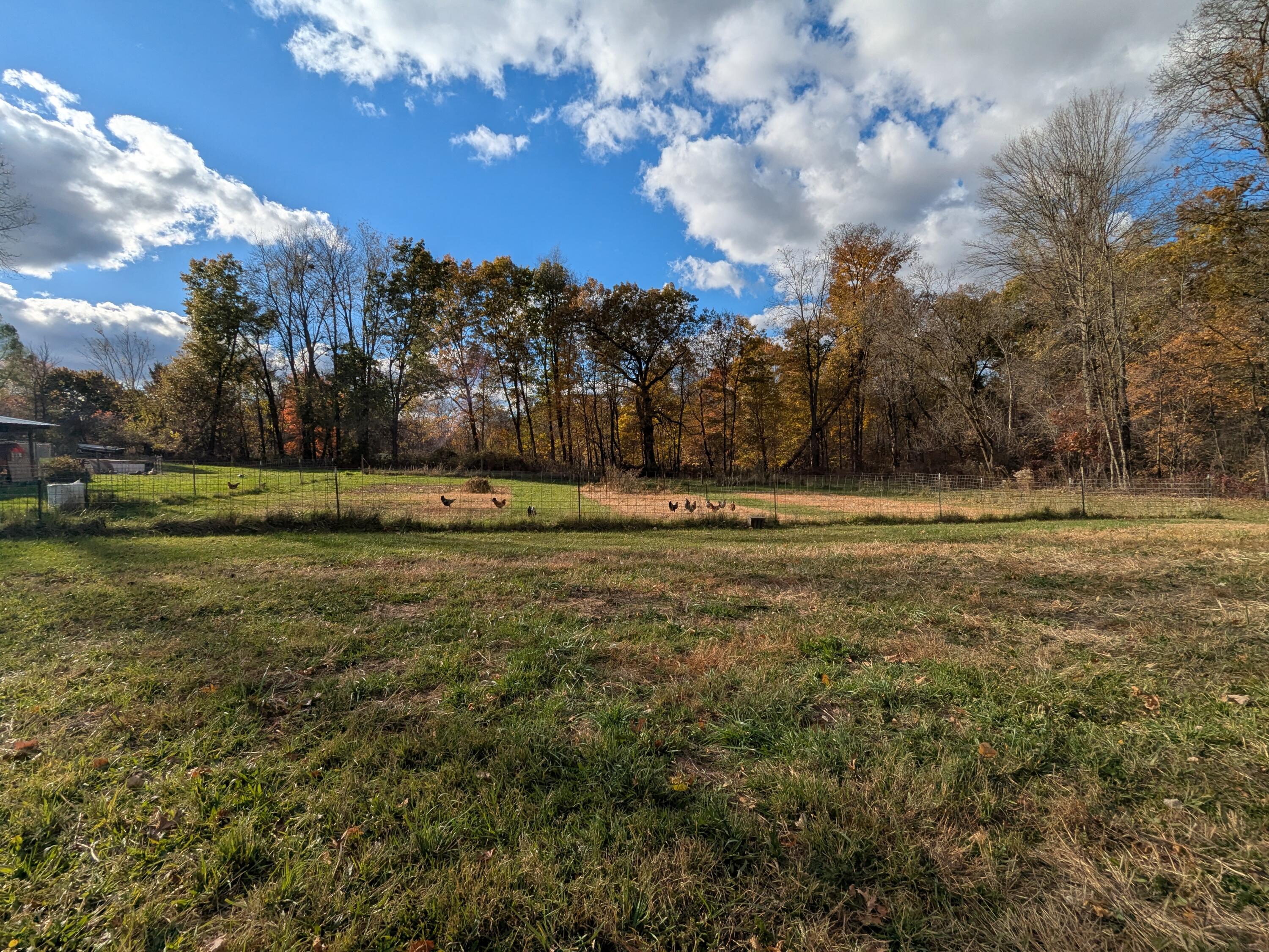 9913 Jones Road Bellevue, MI 49021 - Photo 81 of 94 PXL_20251030_195328749.MP