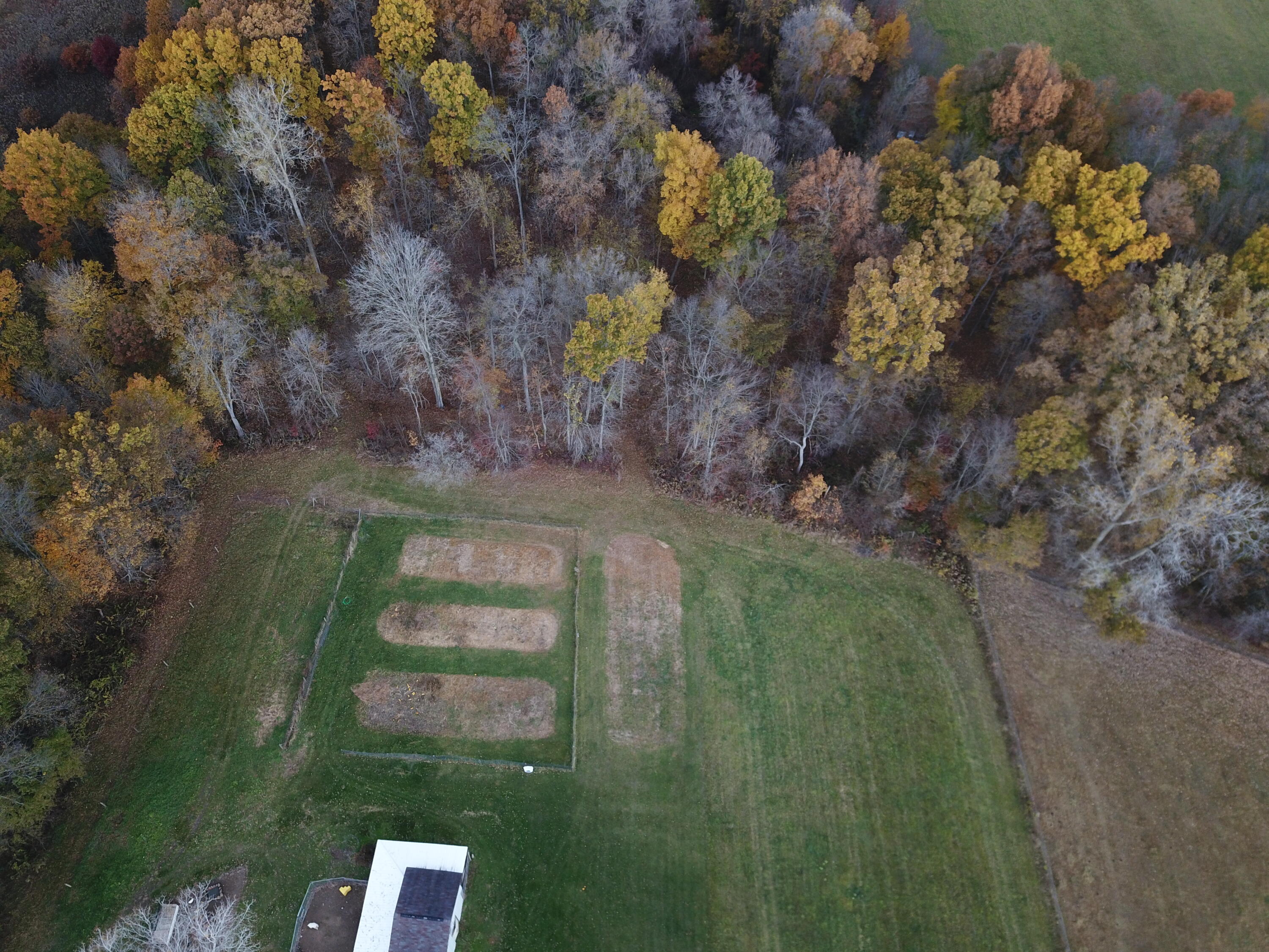 9913 Jones Road Bellevue, MI 49021 - Photo 88 of 94 org_080e79bd6adddcd4_1761931100000