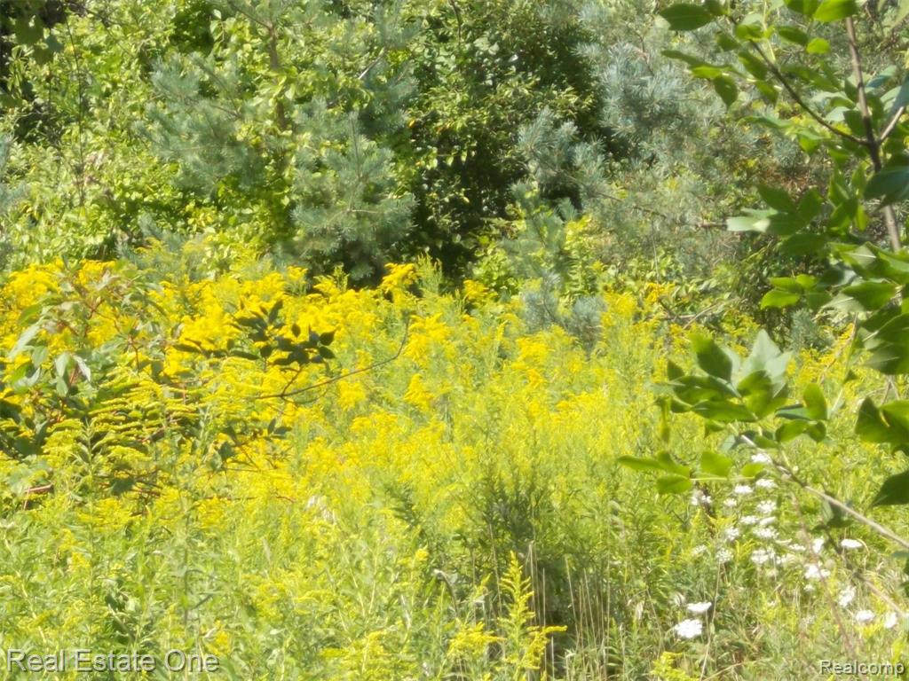 0 North Lake George Road Oakland, MI 48363 - Photo 52 of 55