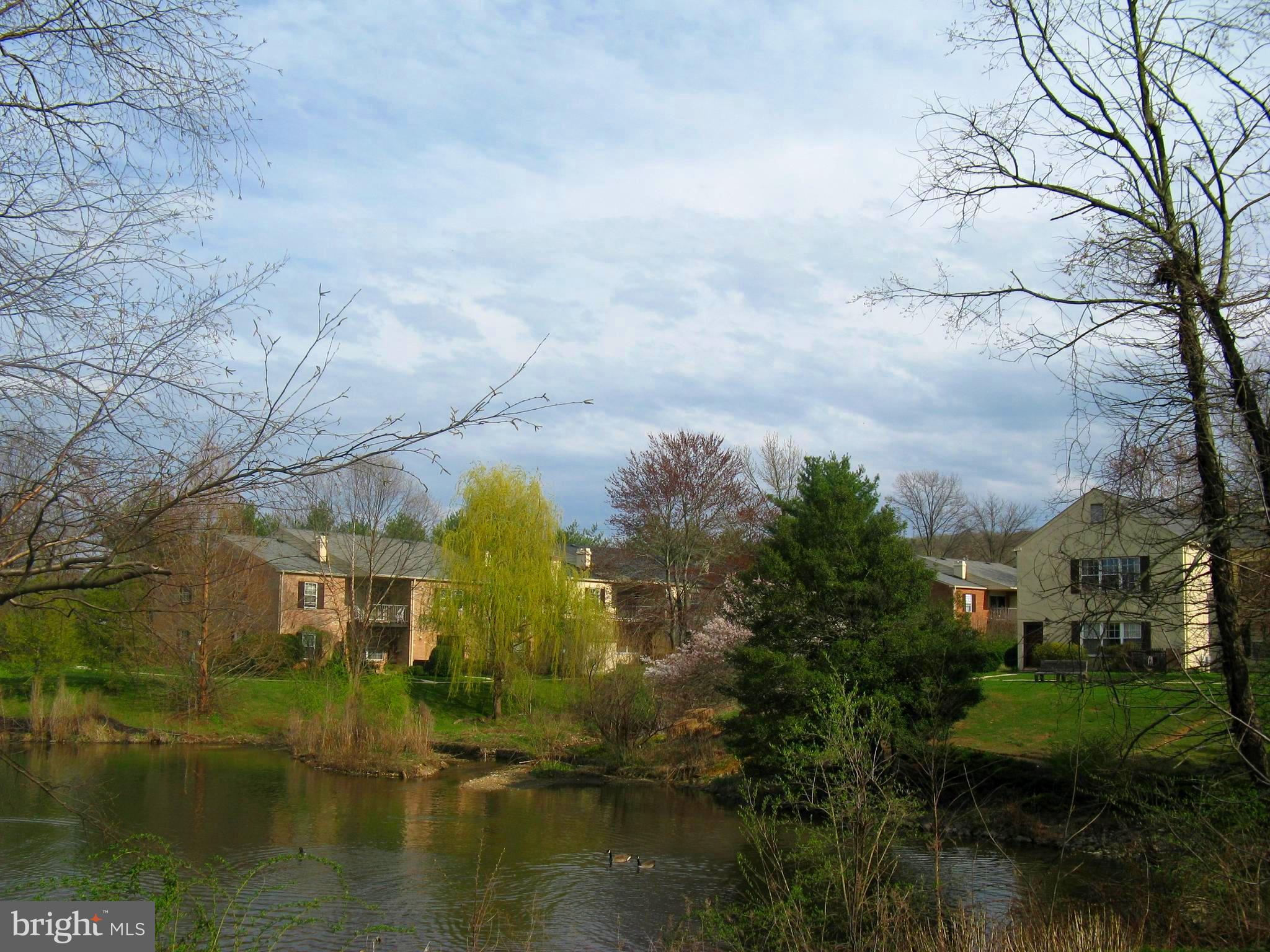 229 Old Forge Crossing Devon, PA 19333 - Photo 17 of 26 Reflection Lake