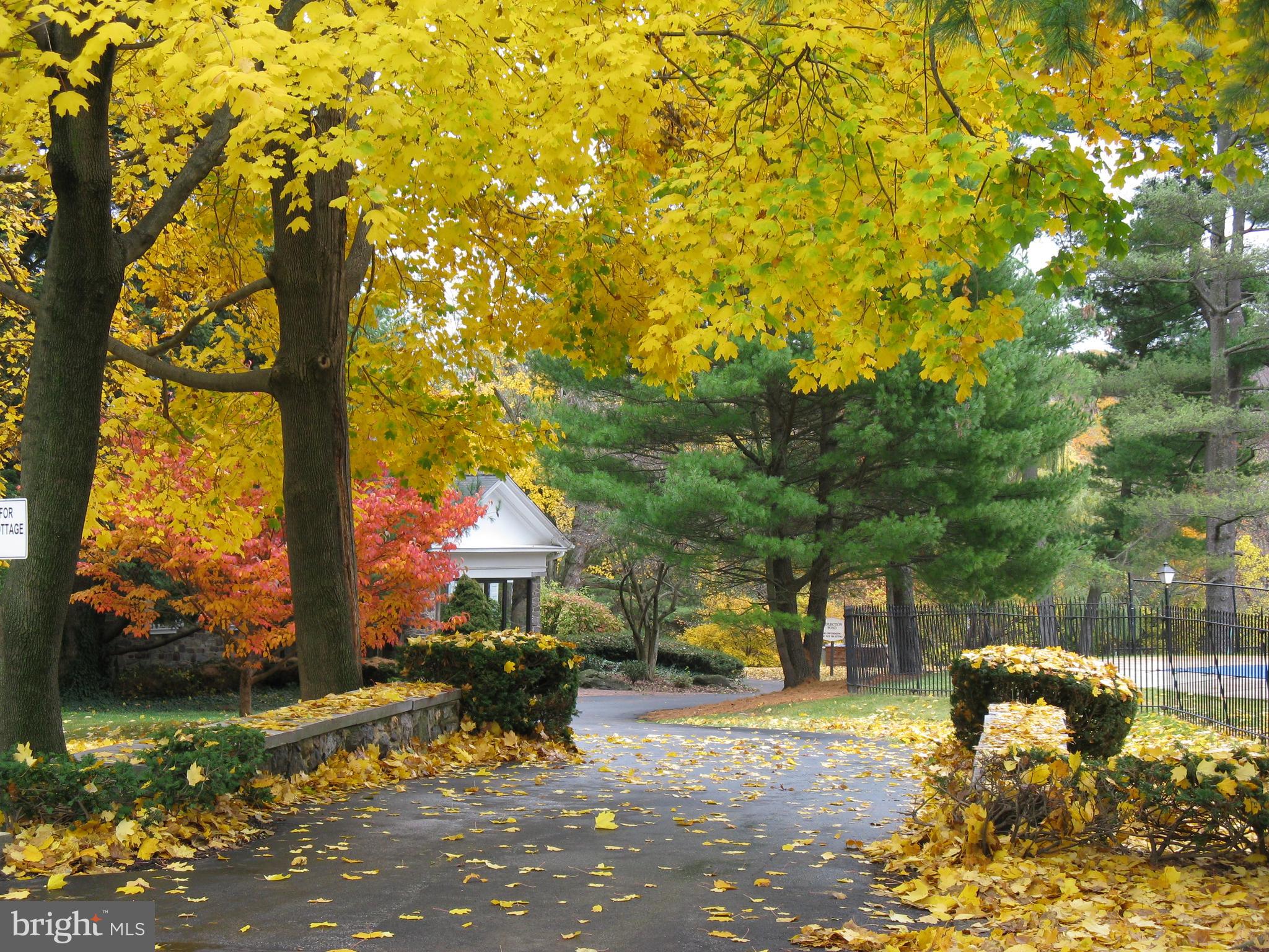 229 Old Forge Crossing Devon, PA 19333 - Photo 20 of 26 Mature landscaping throughout community