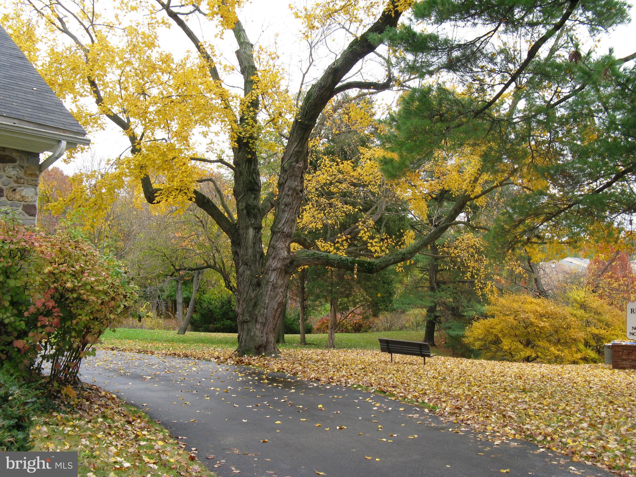 229 Old Forge Crossing Devon, PA 19333 - Photo 22 of 26 Serene walking trails