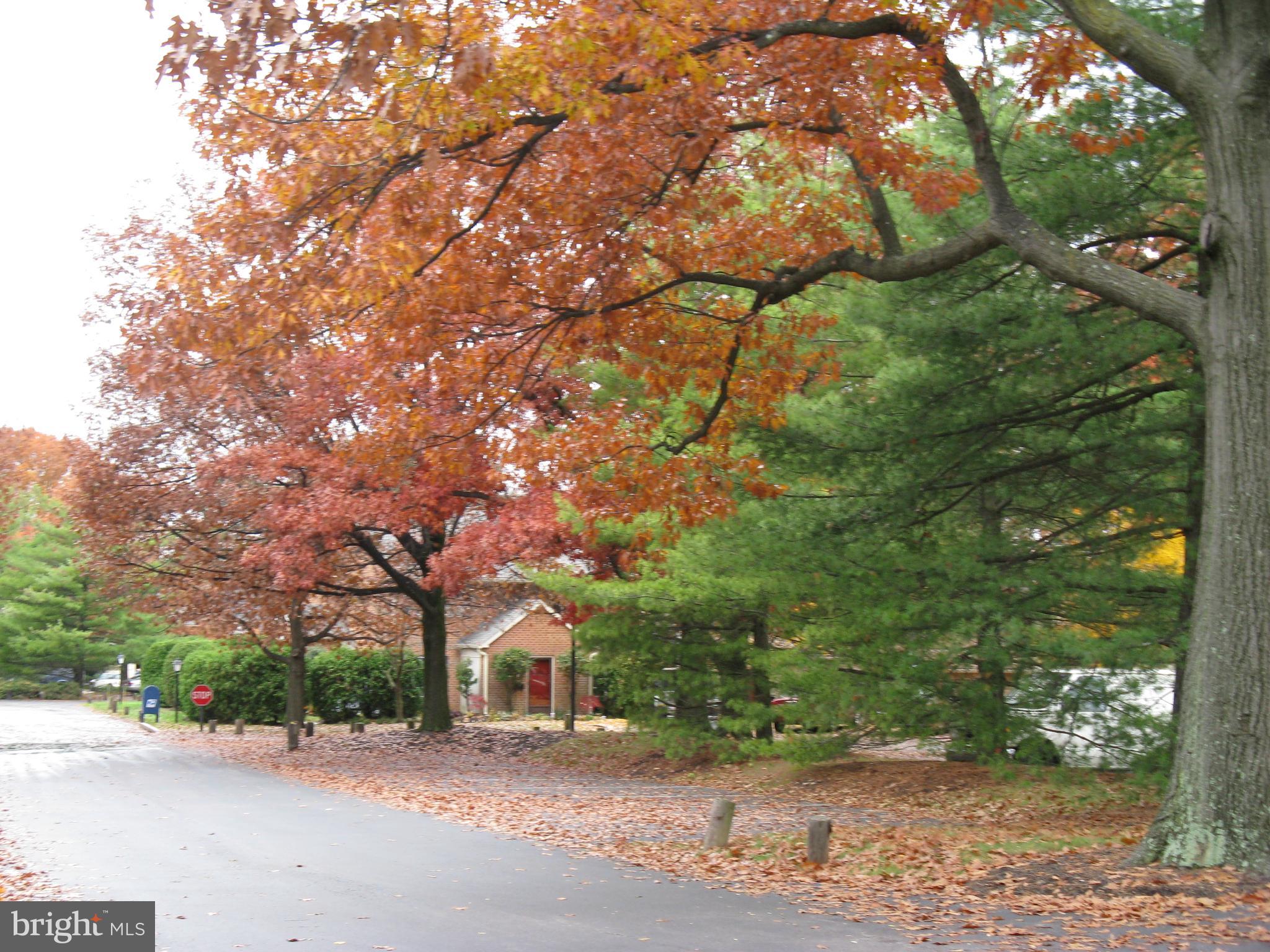 229 Old Forge Crossing Devon, PA 19333 - Photo 23 of 26