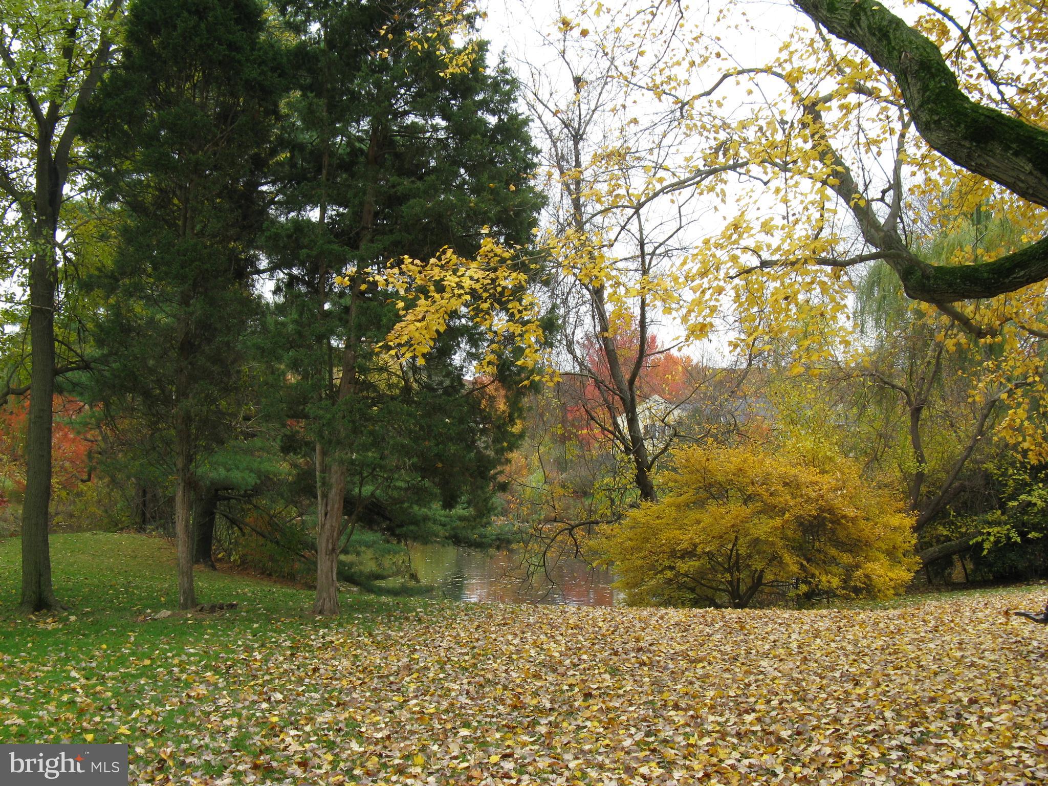 229 Old Forge Crossing Devon, PA 19333 - Photo 24 of 26