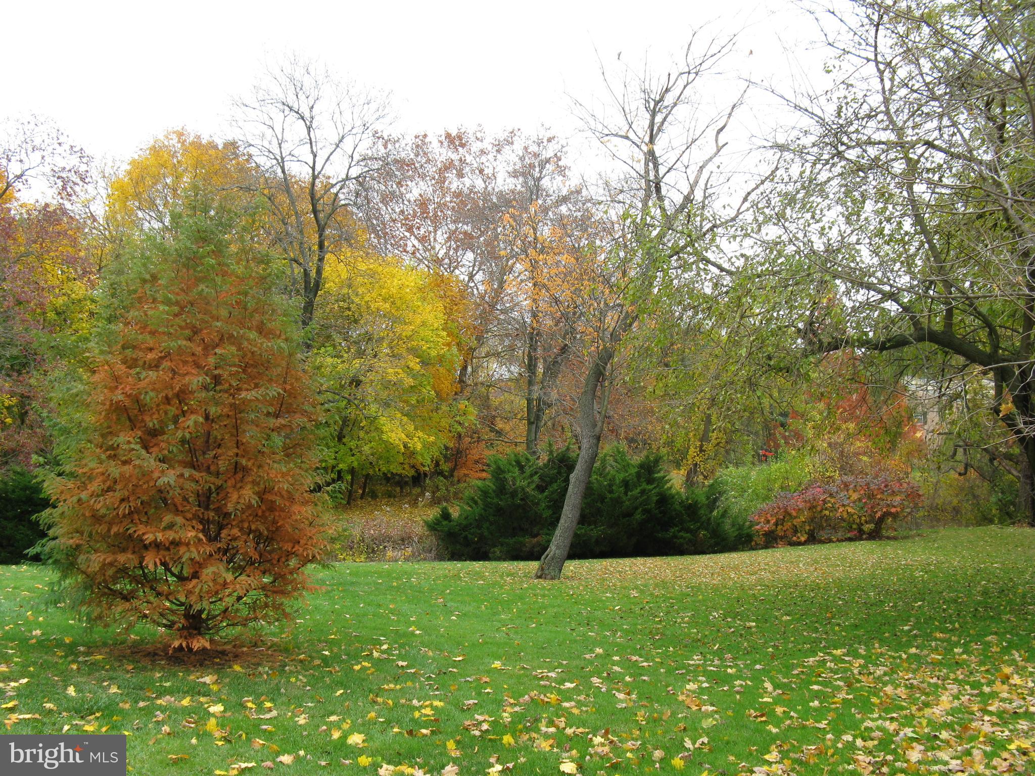 229 Old Forge Crossing Devon, PA 19333 - Photo 25 of 26