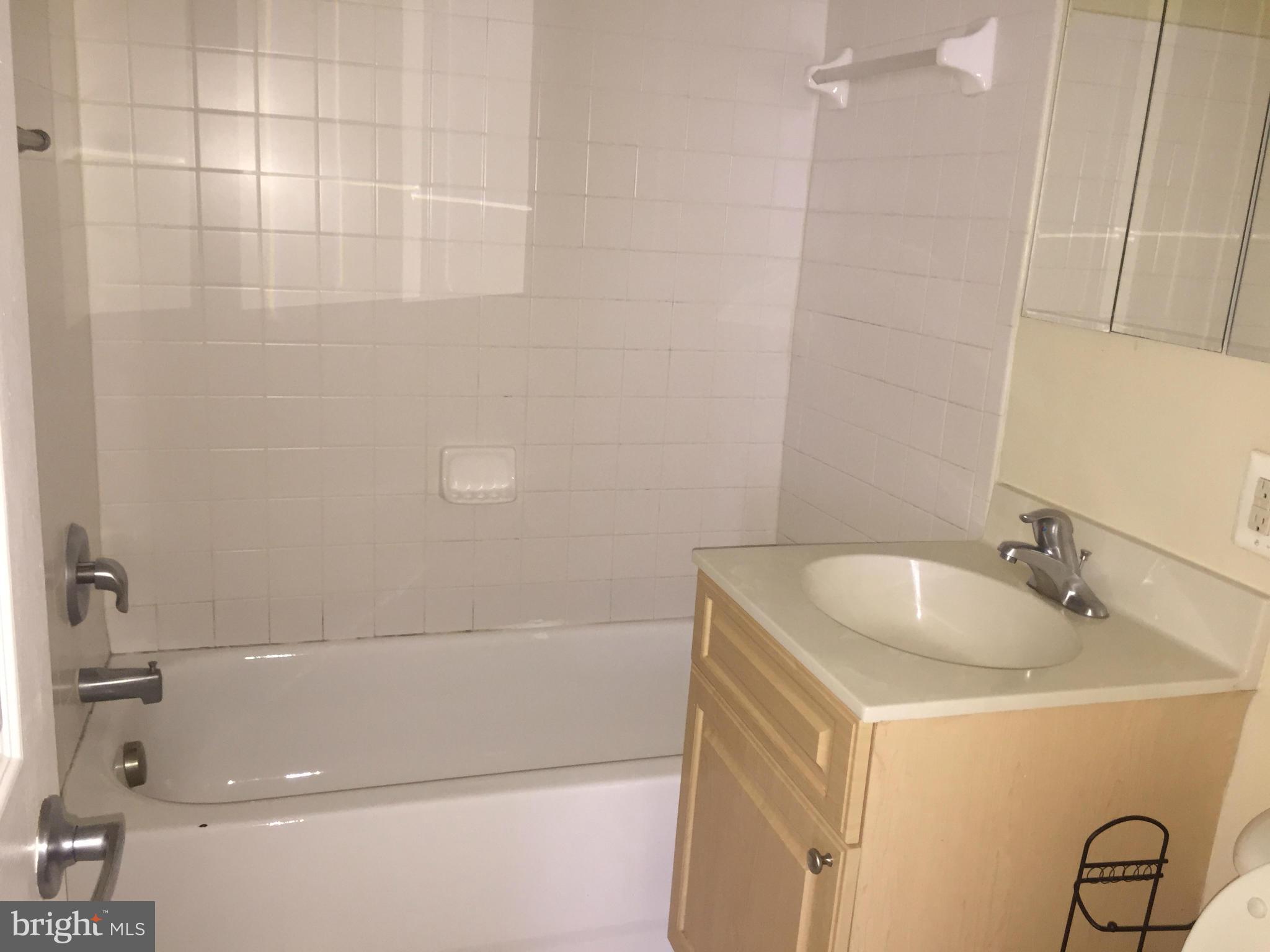 1005 Chillum Road, Unit 302 Hyattsville, MD 20782 - Photo 6 of 7 a bathroom with a sink and a bathtub