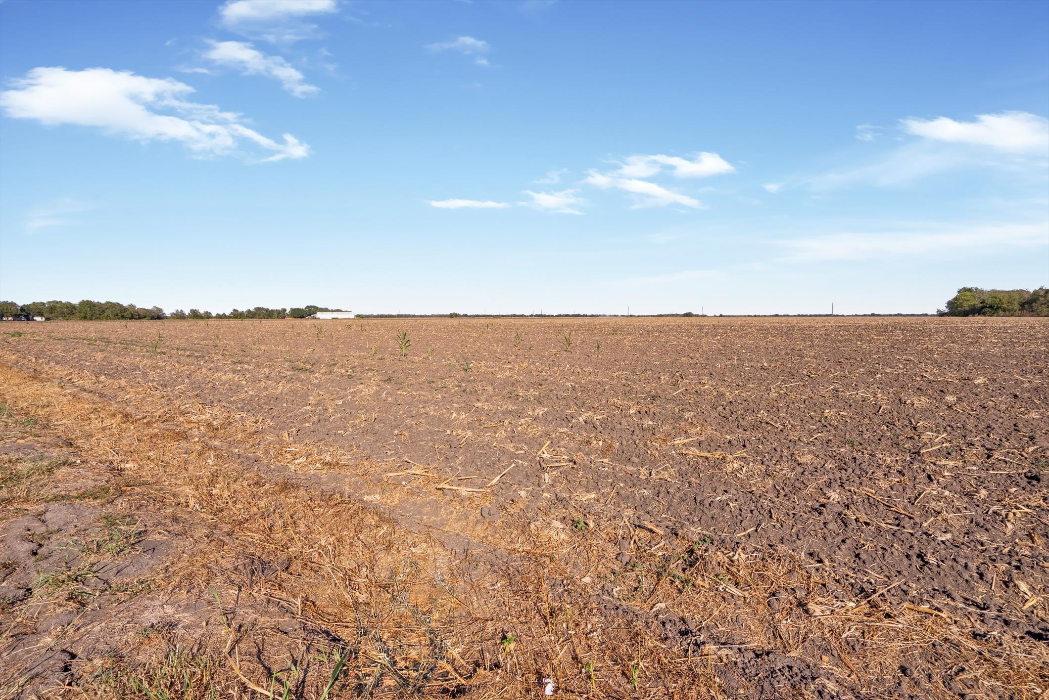 Tbd02 Scroggins Road Wallis, TX 77485 - Photo 14 of 23