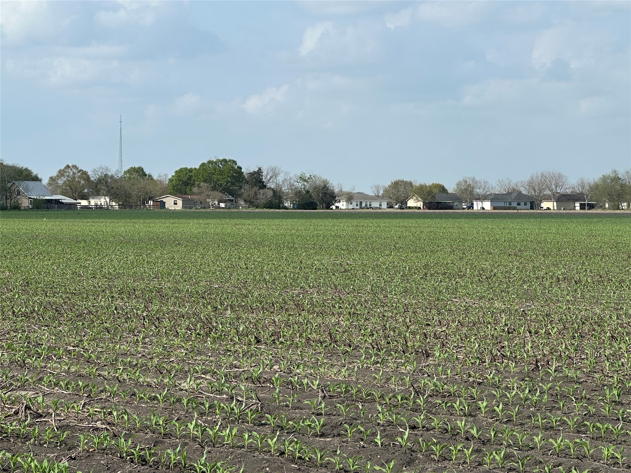 Tbd02 Scroggins Road Wallis, TX 77485 - Photo 22 of 23 a view of a green field