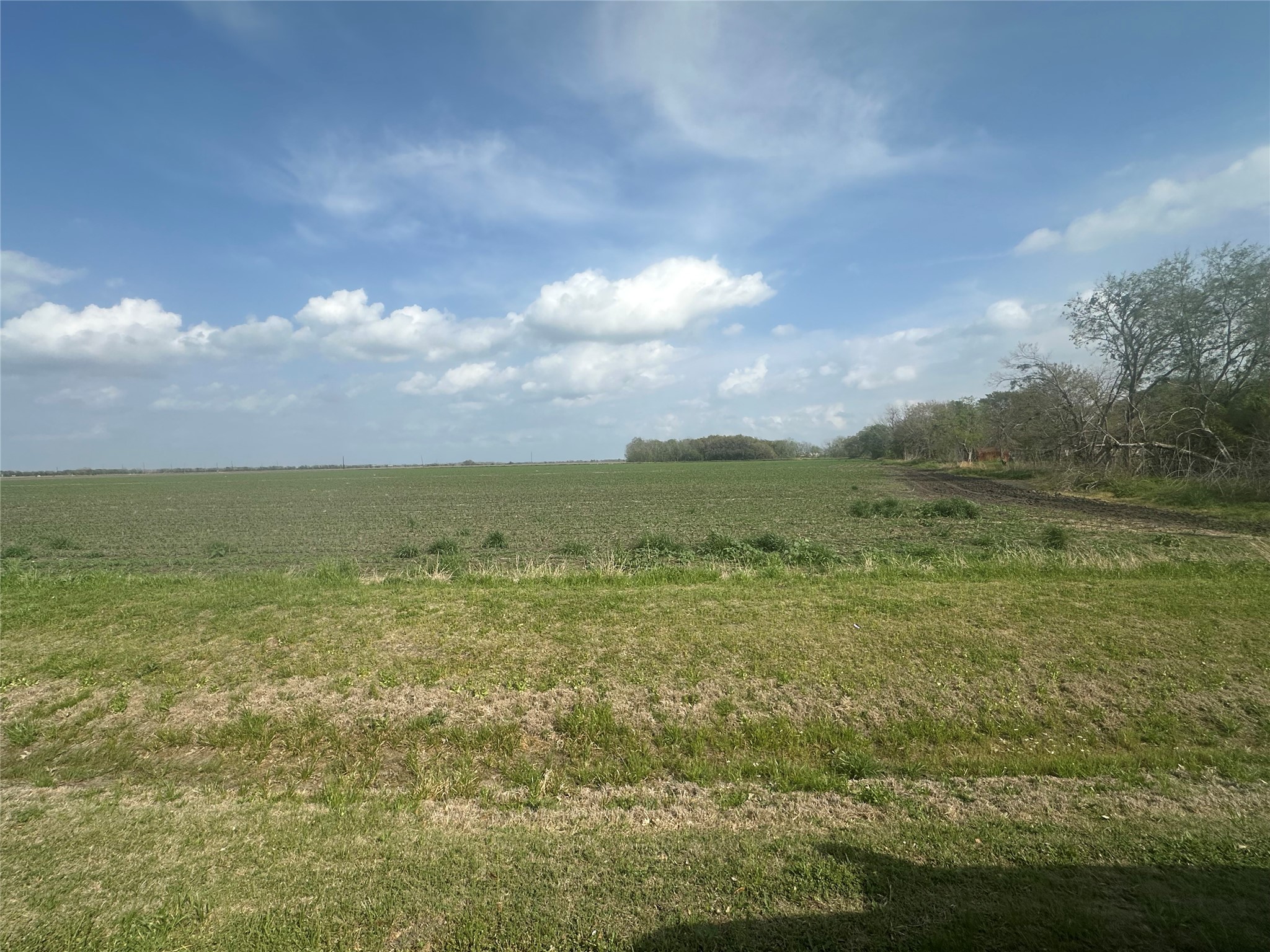 Tbd02 Scroggins Road Wallis, TX 77485 - Photo 23 of 23 a view of an ocean and beach