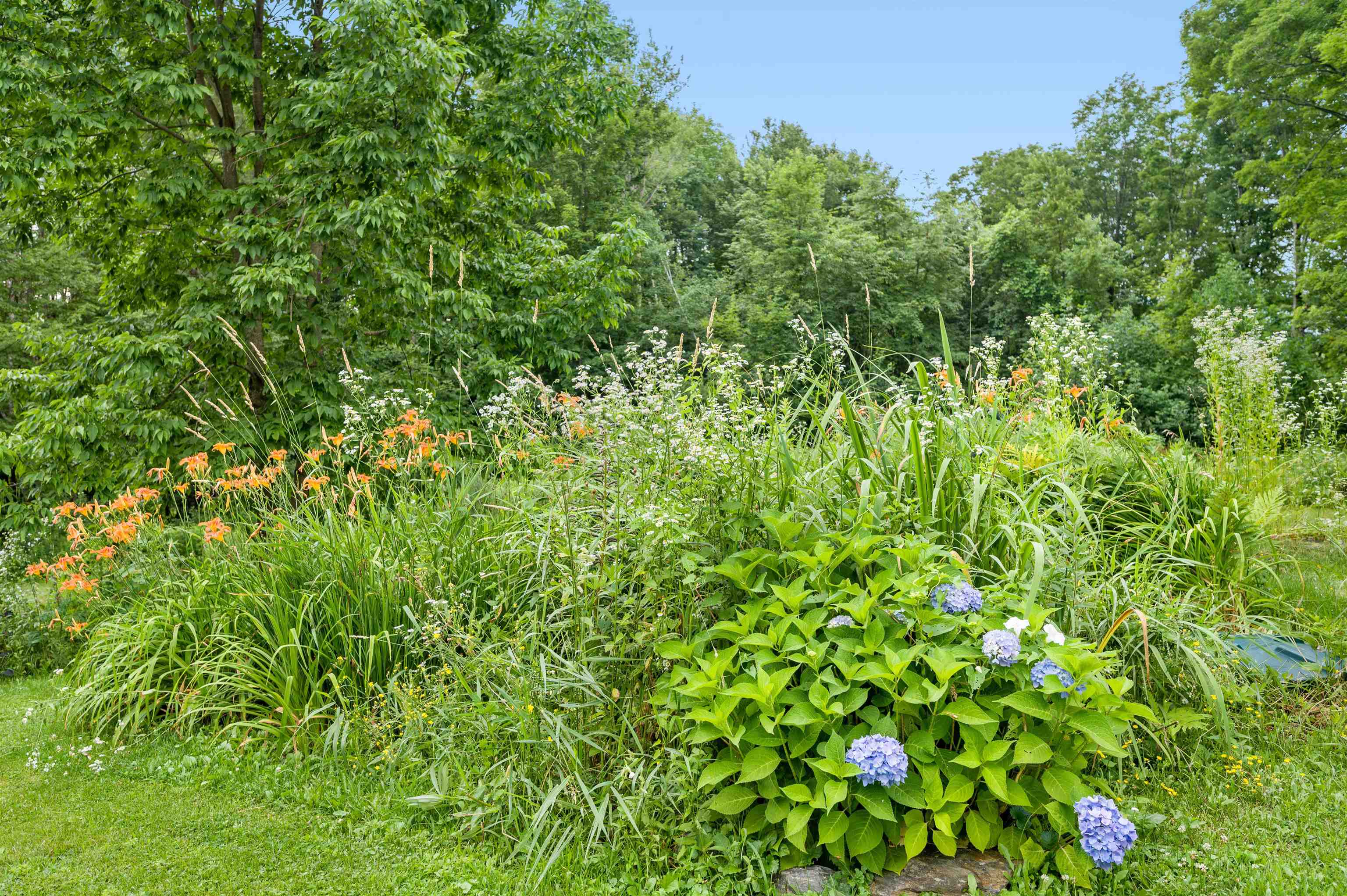 2113 West Hill Road Stowe, VT 05672 - Photo 45 of 50 Gallery Image 45