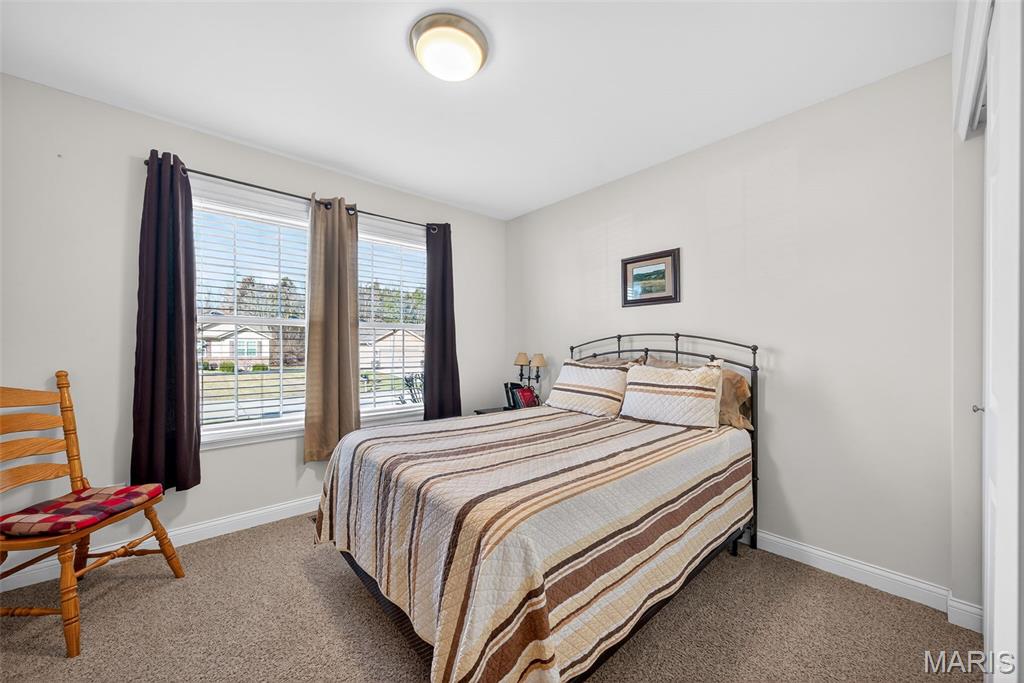 28 Bittersweet Drive Troy, MO 63379 - Photo 19 of 25