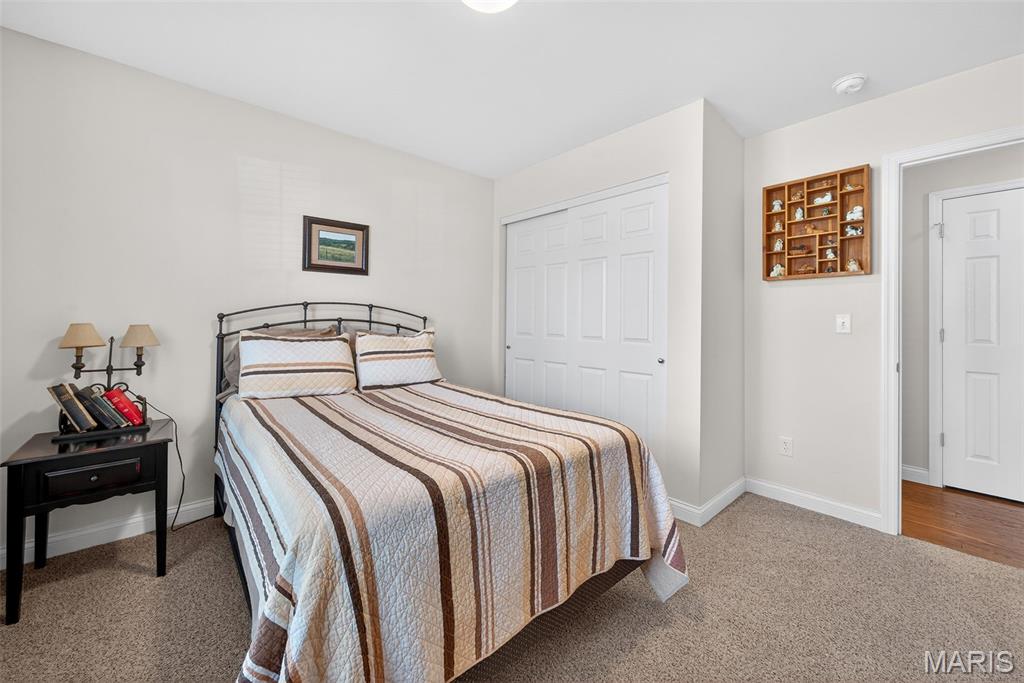 28 Bittersweet Drive Troy, MO 63379 - Photo 20 of 25