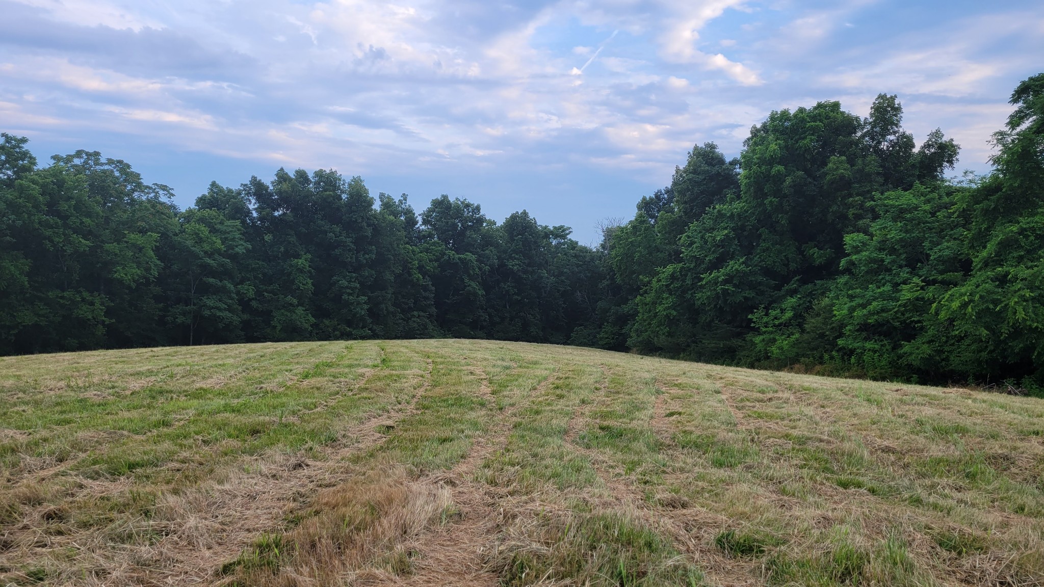 0 Sunrise Ridge Pulaski, TN 38478 - Photo 1 of 2 Gallery Image 1