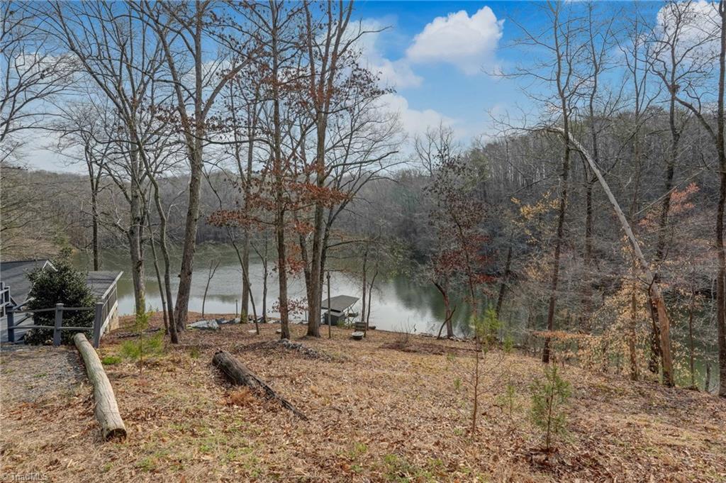 1036 Butter Road Reidsville, NC 27320 - Photo 18 of 50