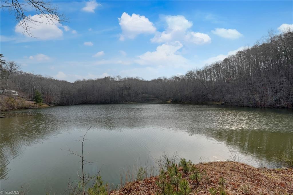 1036 Butter Road Reidsville, NC 27320 - Photo 20 of 50