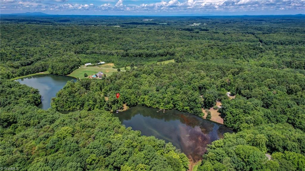 1036 Butter Road Reidsville, NC 27320 - Photo 25 of 50