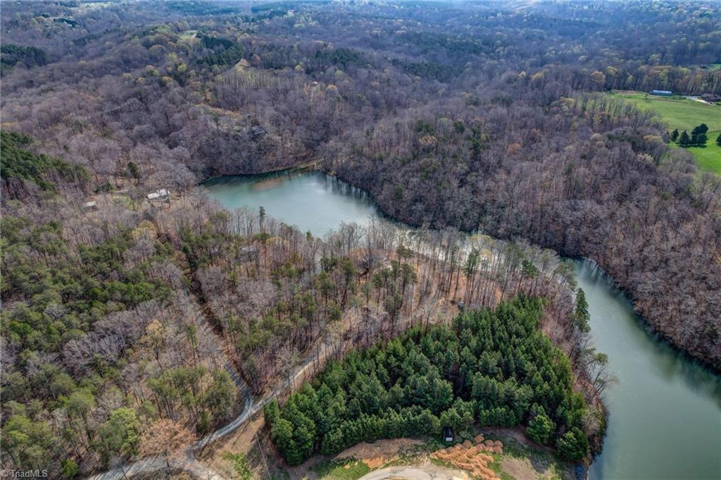 1036 Butter Road Reidsville, NC 27320 - Photo 27 of 50