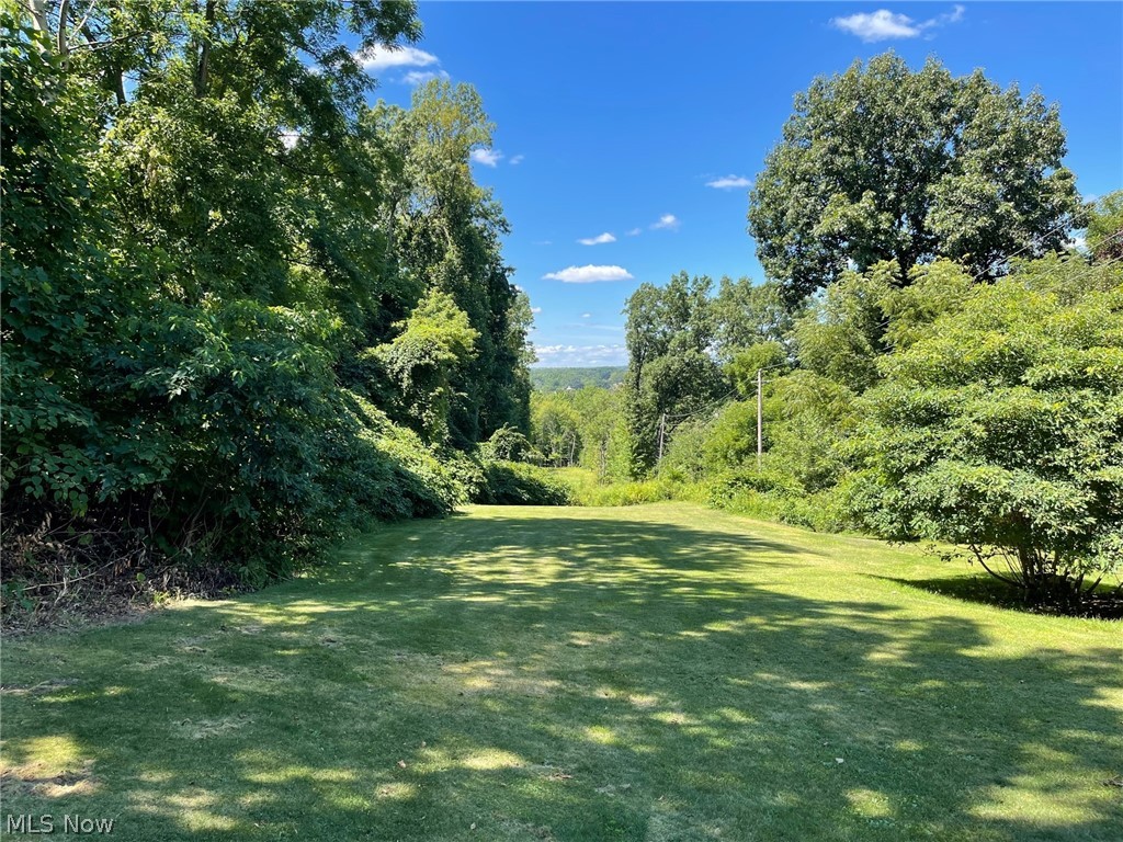 Brownstone Avenue Akron, OH 44310 - Photo 2 of 5