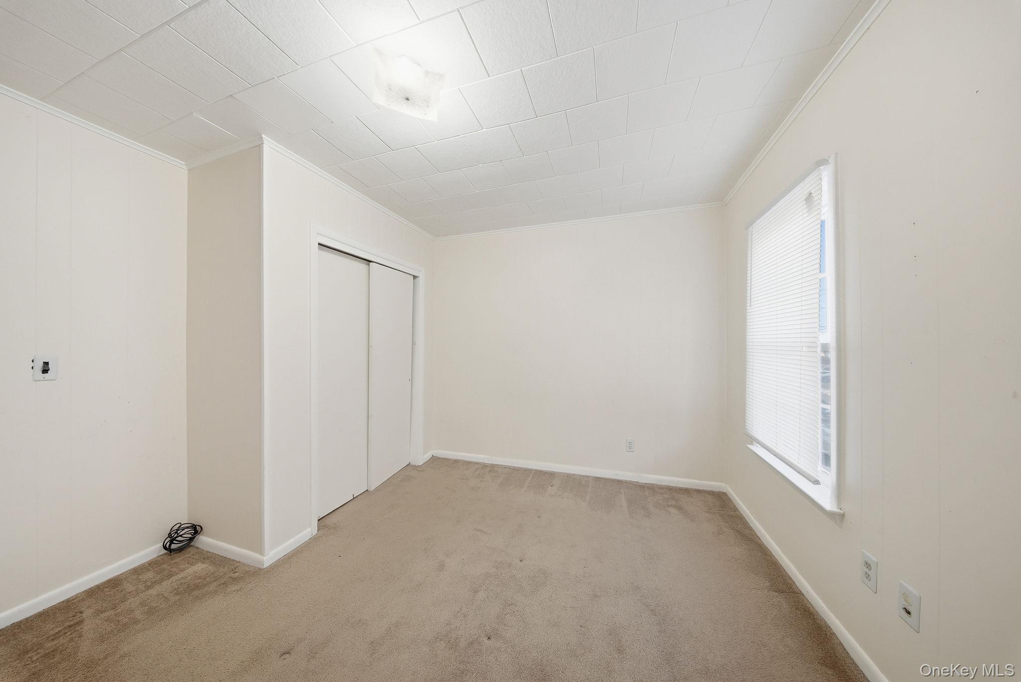 21 Ridge Street Middletown, NY 10940 - Photo 25 of 32 bedroom featuring carpet flooring, crown molding, and a closet