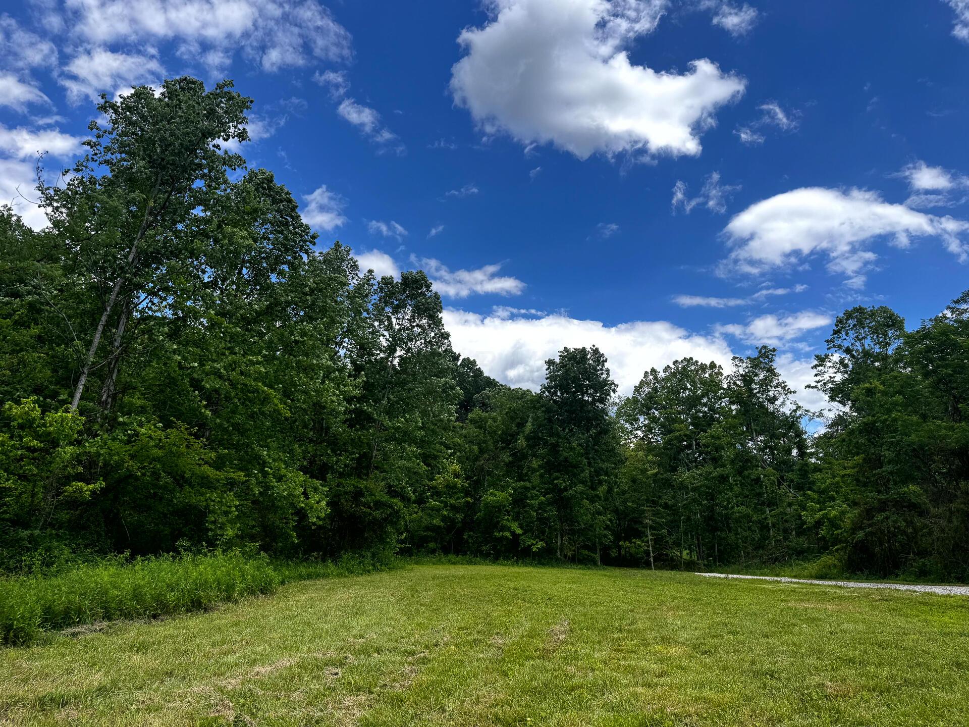 0 Barr Hollow Road Reedsville, OH 45772 - Photo 12 of 15 CT-12