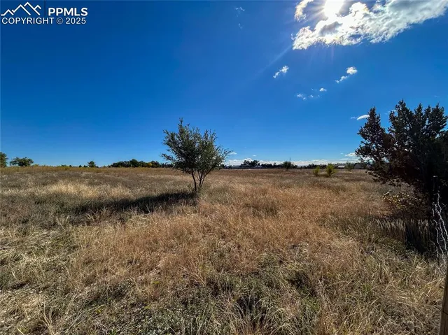 a view of an ocean and a yard