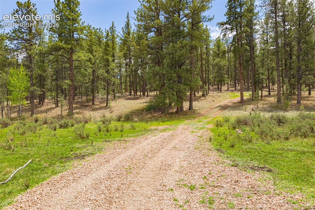 4250 Doe Valley Road Guffey, CO 80820 - Photo 4 of 35