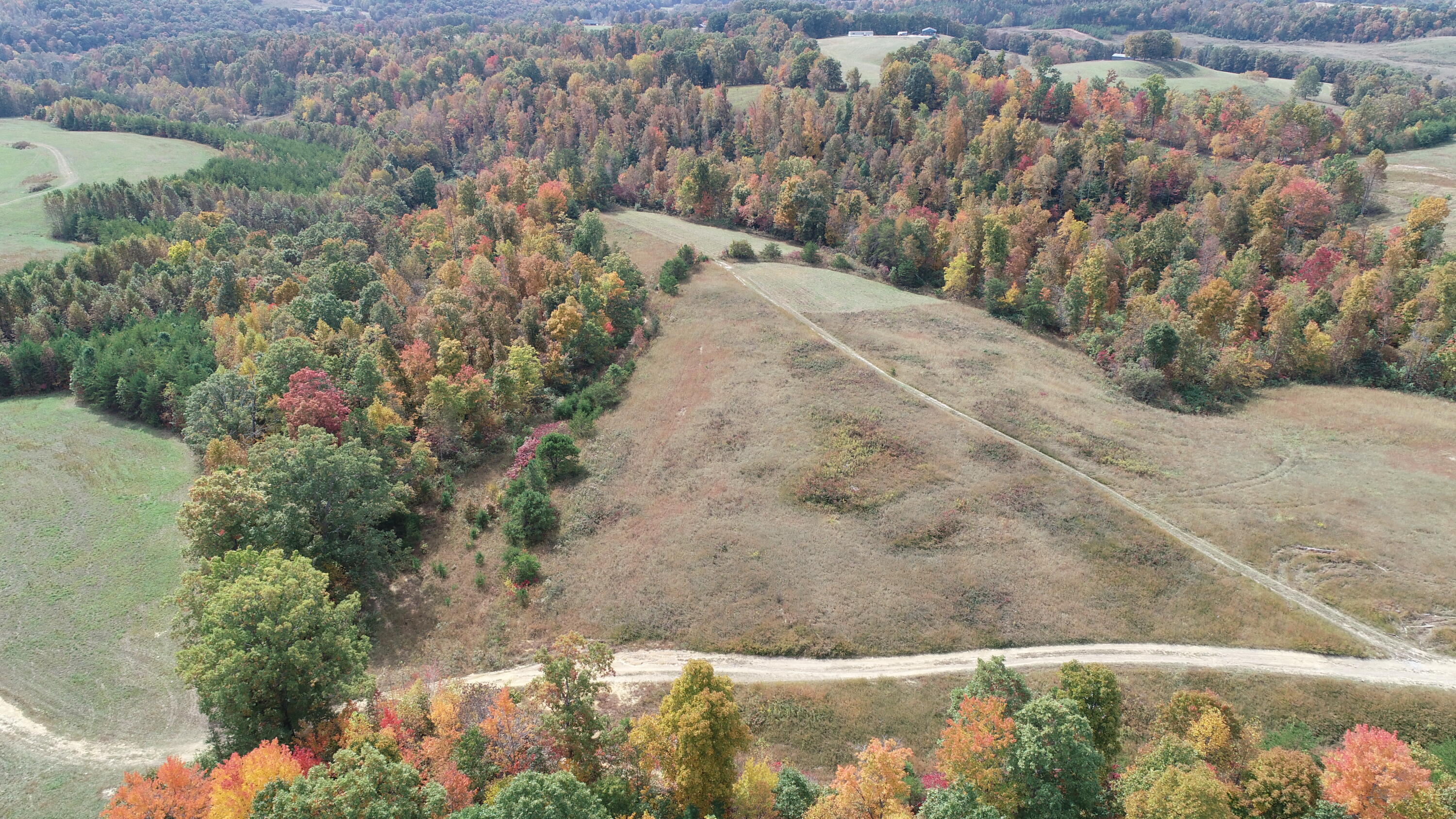 9999 Nichols Branch Road Annville, KY 40402 - Photo 14 of 18 DJI_0491
