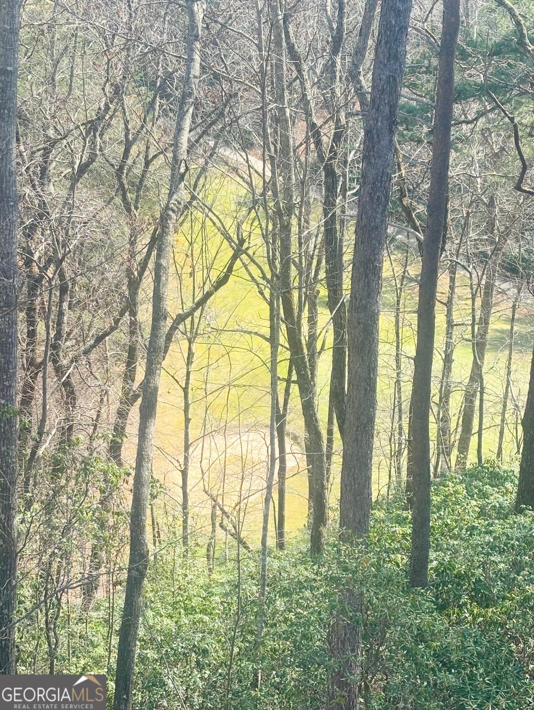 364 Rosen Strasse Helen, GA 30545 - Photo 17 of 51 View from Back Deck - Hole #8