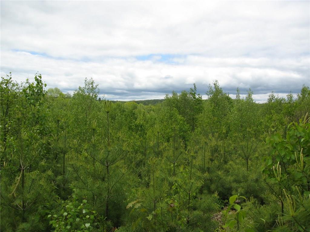 0 South Steele Road Monroe, ME 04951 - Photo 10 of 17 Photo