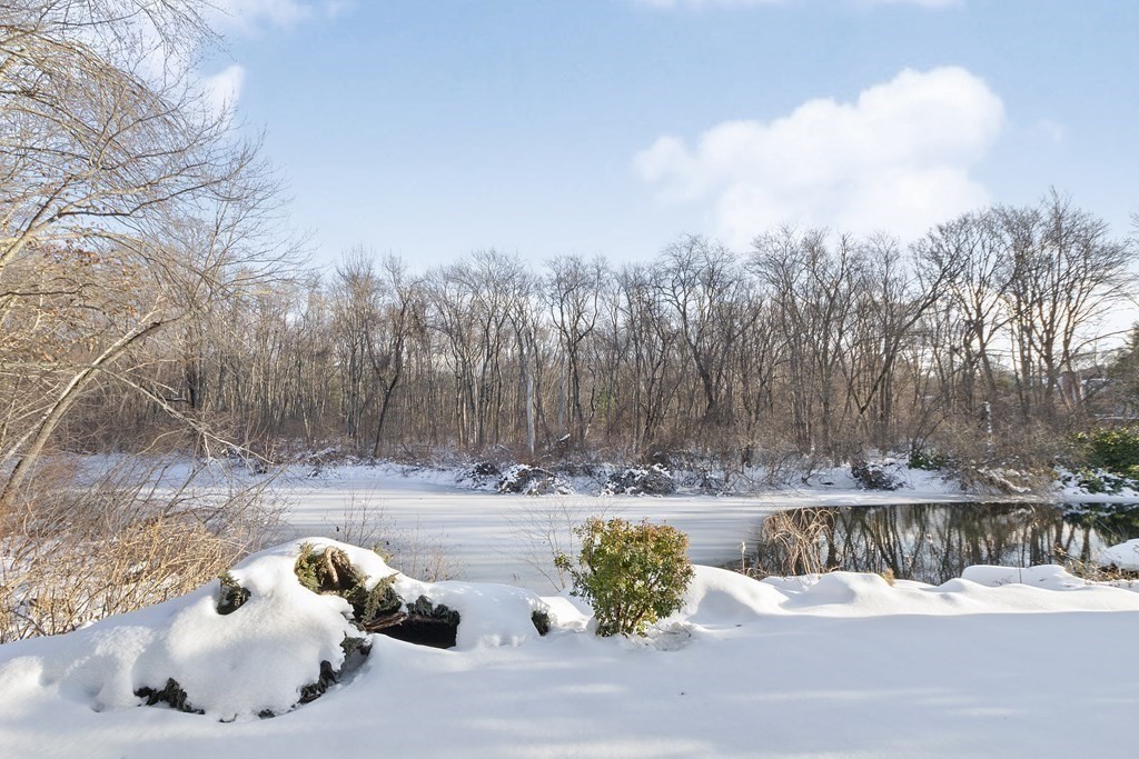 7 Butterfield Road Lexington, MA 02420 - Photo 21 of 29 Gallery Image 21