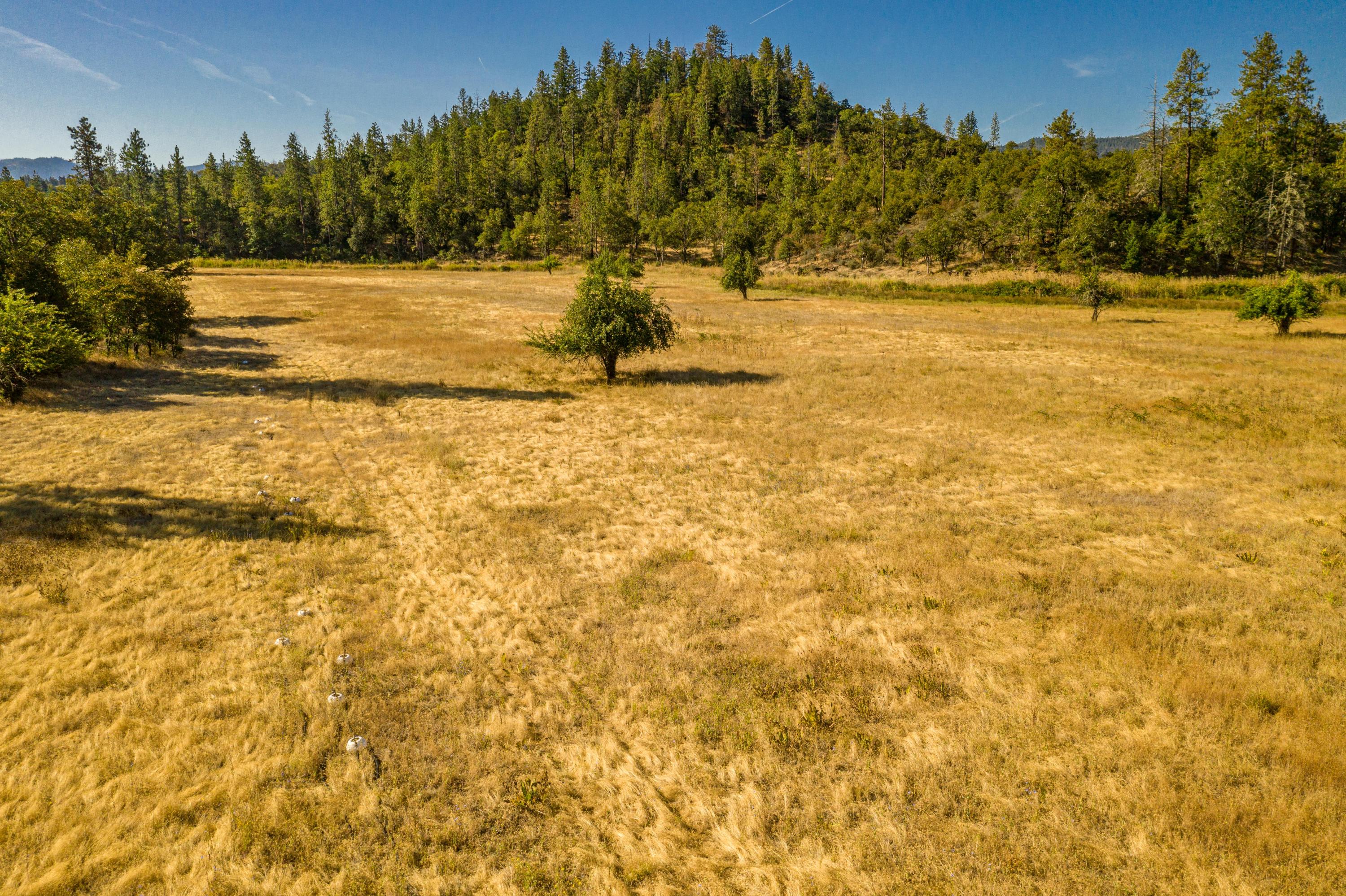 40 Lake Creek Lp Road Eagle Point, OR 97524 - Photo 8 of 70 a view of a yard with trees