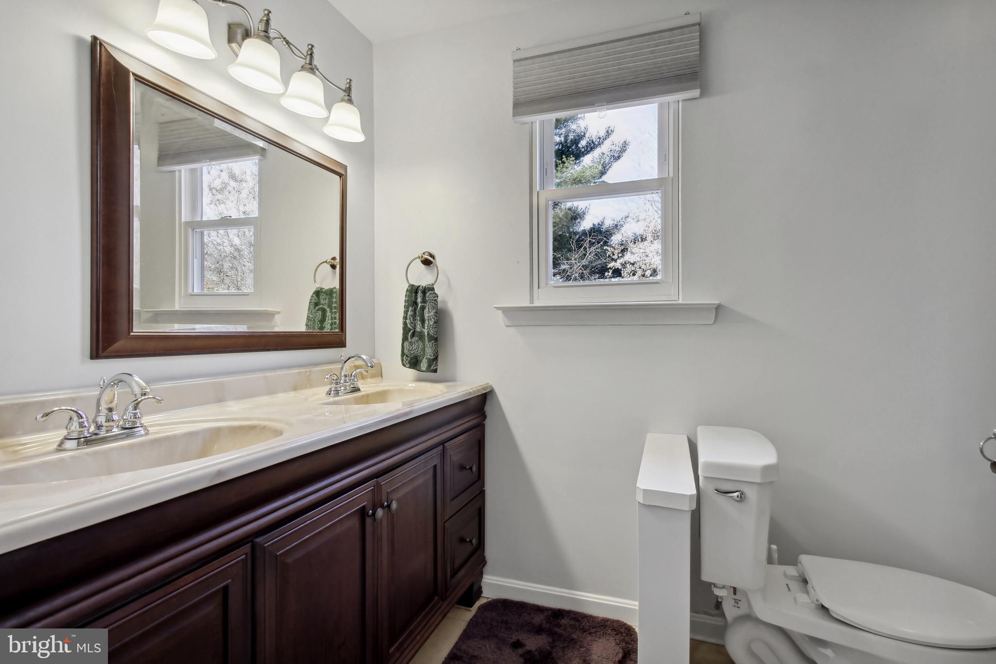 1817 Snowdrop Lane Silver Spring, MD 20906 - Photo 21 of 30 Master Bathroom with Double Sinks