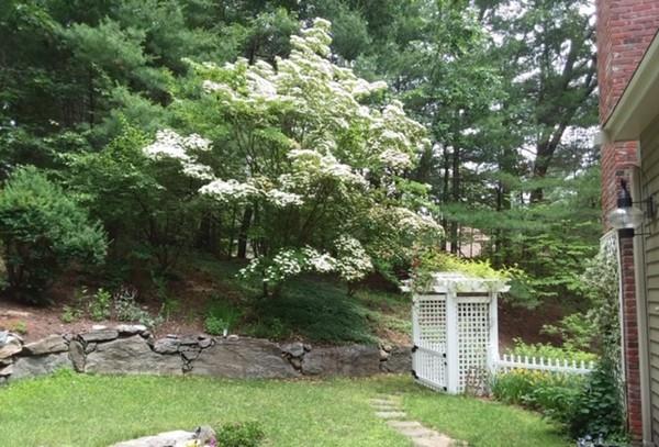 345 Border Road Concord, MA 01742 - Photo 27 of 28