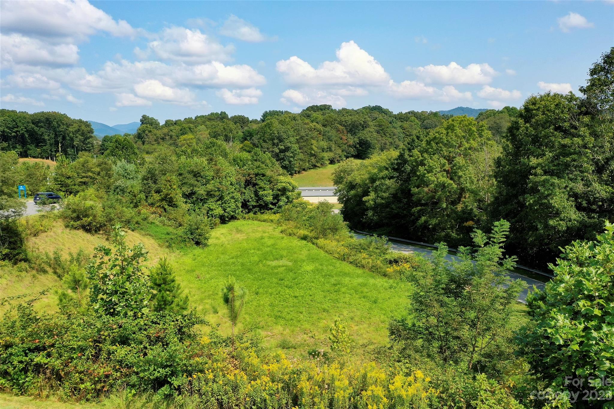 0 Leroy George Drive Clyde, NC 28721 - Photo 5 of 5