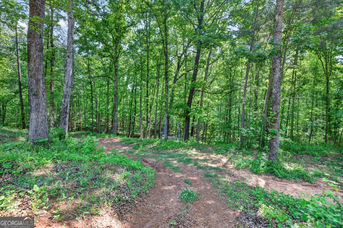 1260 Perryman Road Buckhead, GA 30625 - Photo 59 of 95