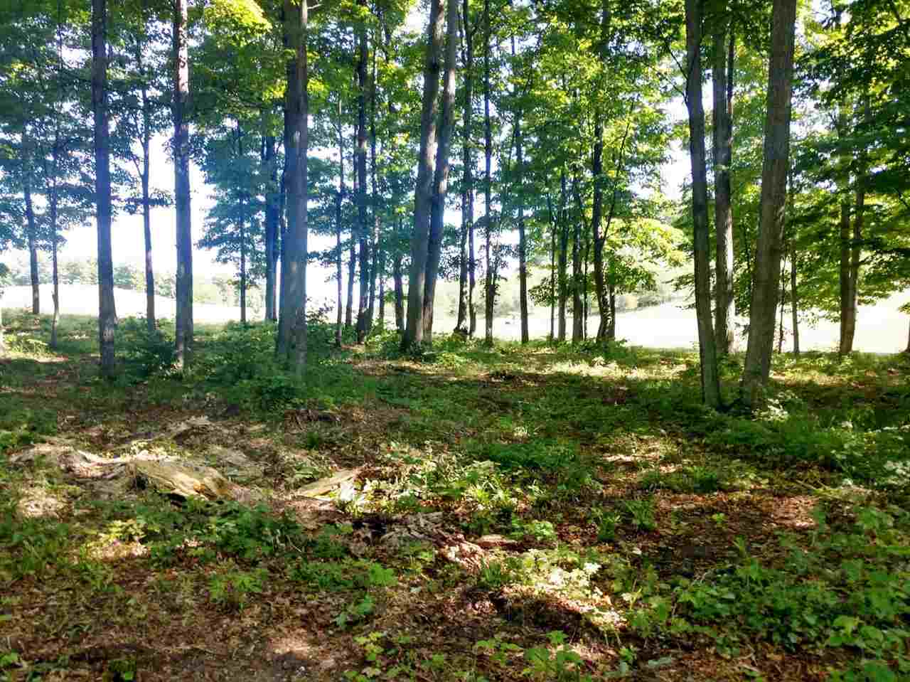 8 Heather Ridge Trail Beulah, MI 49617 - Photo 3 of 9